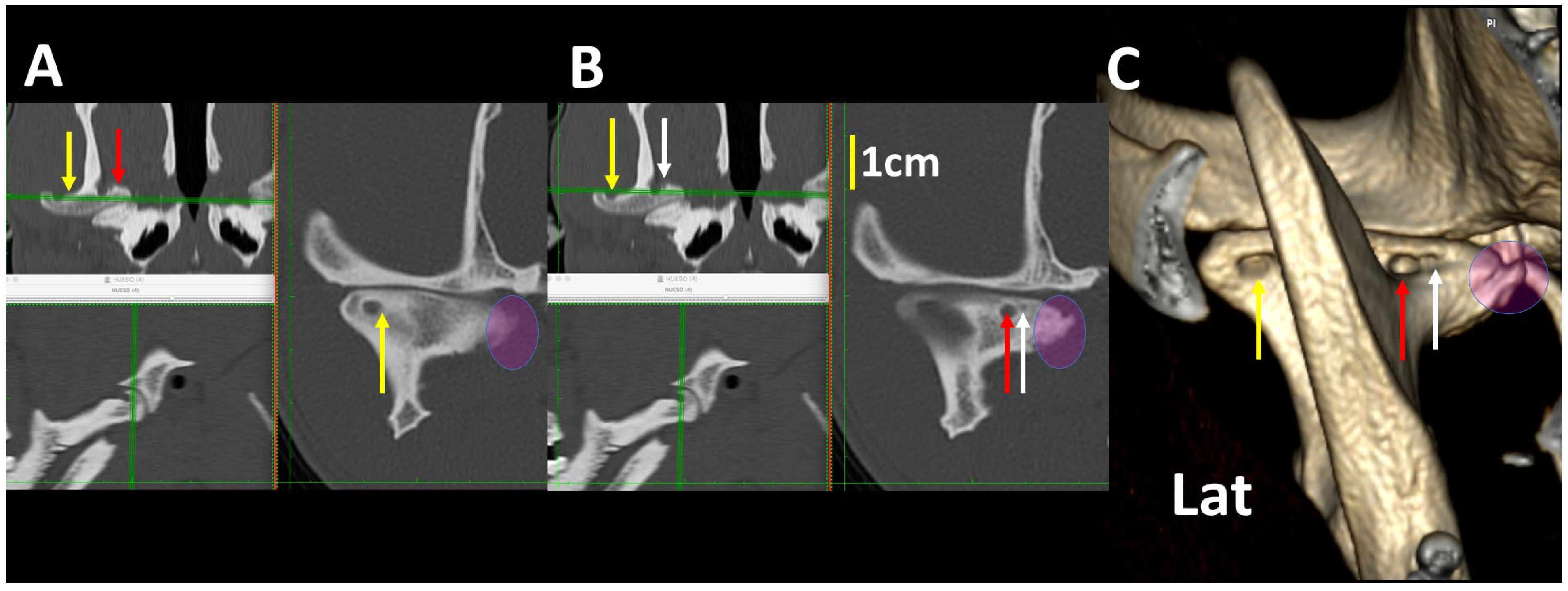 Animals 13 03231 g015