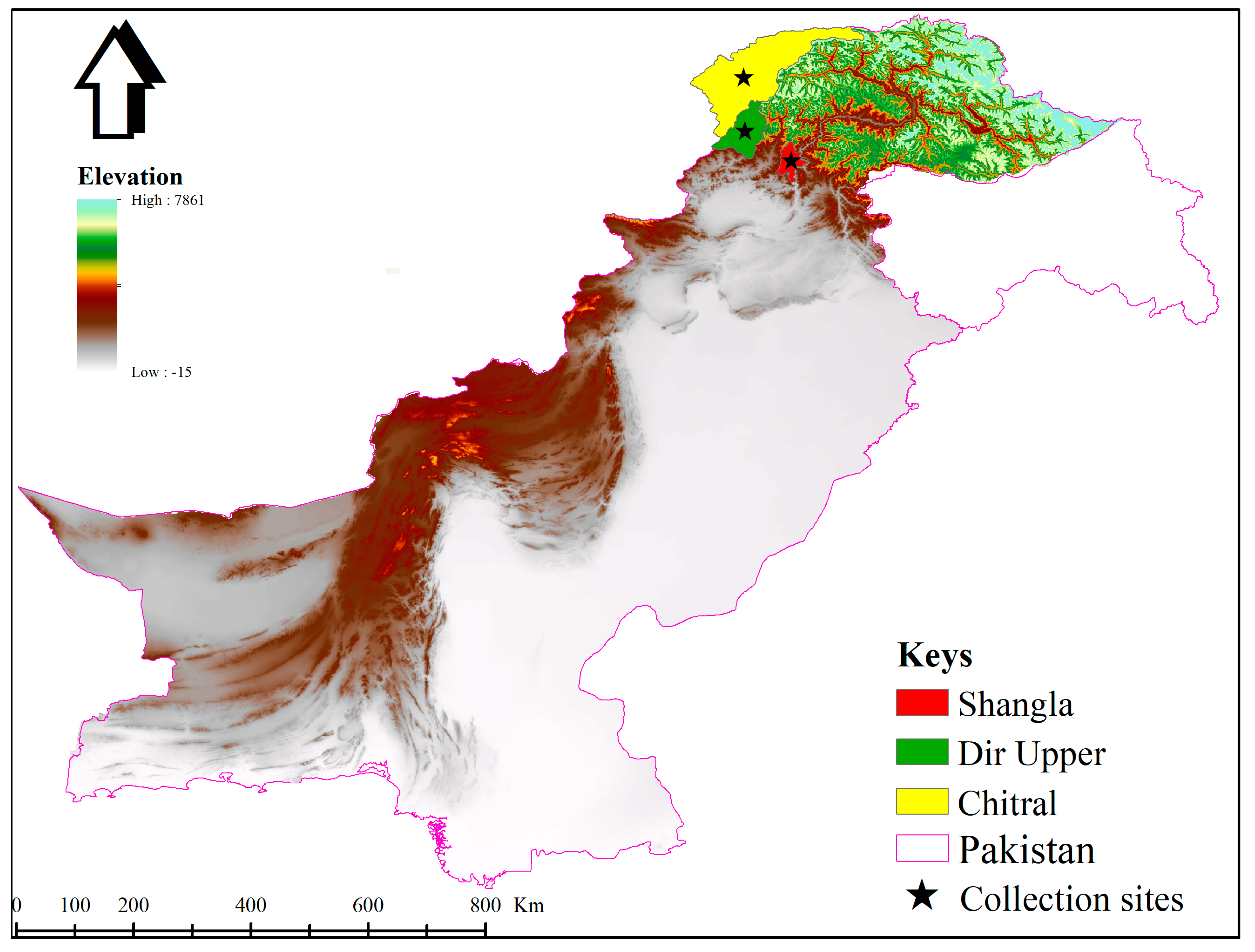 Animals 13 03232 g001