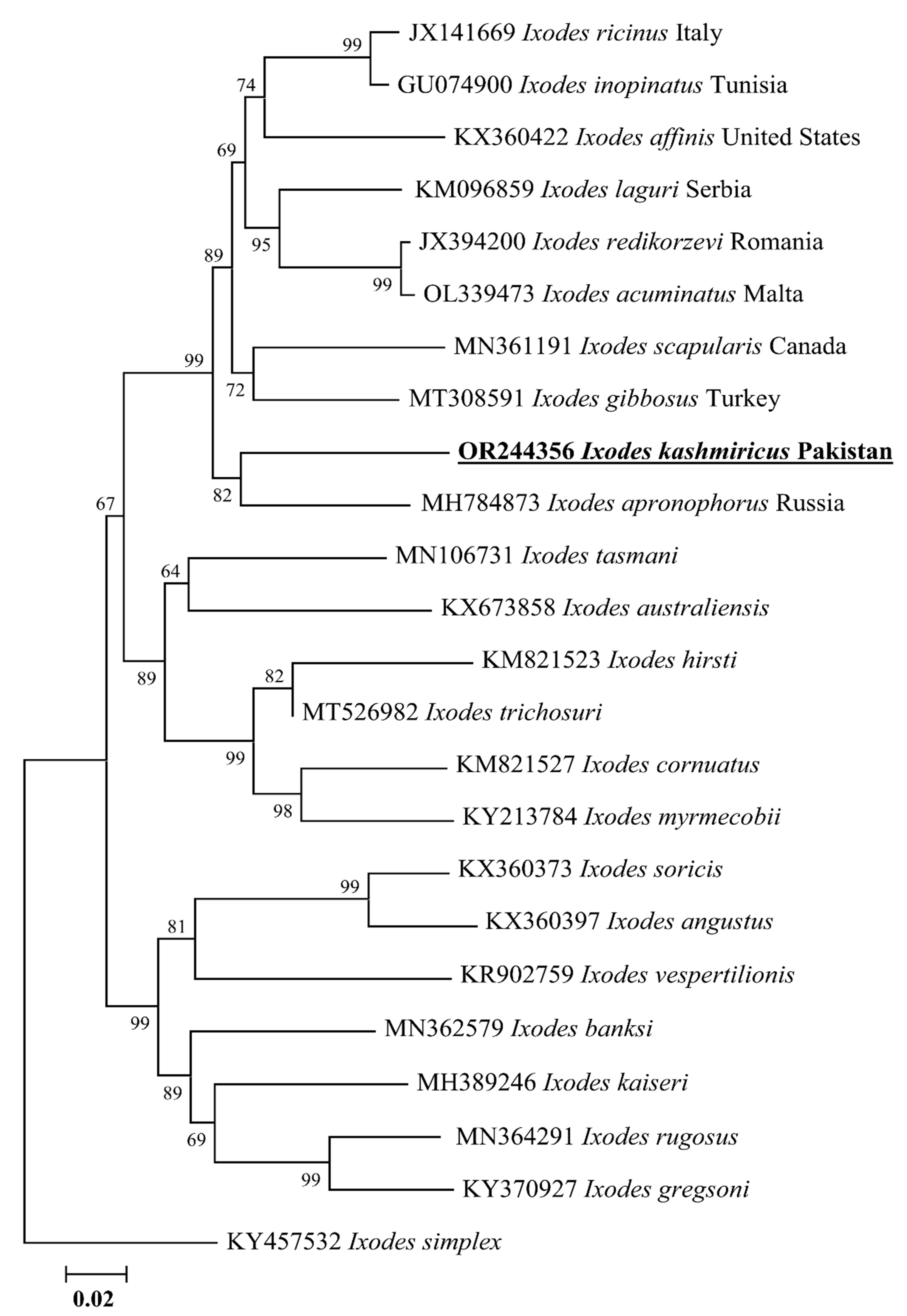 Animals 13 03232 g002