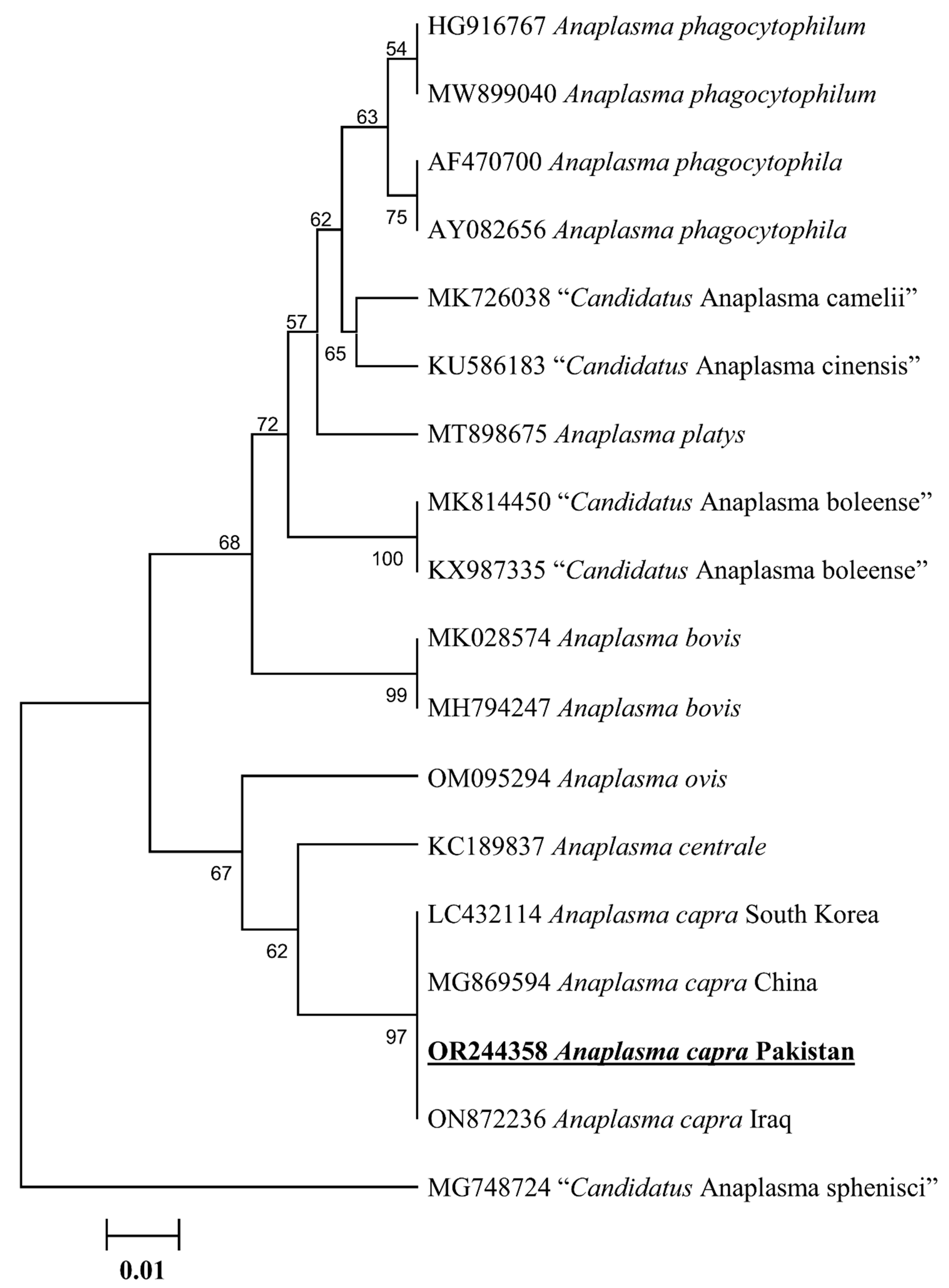 Animals 13 03232 g004