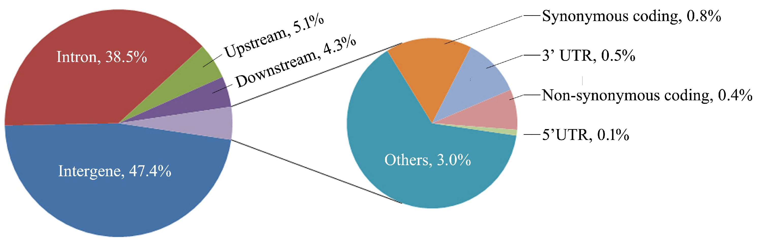 Animals 13 03256 g001