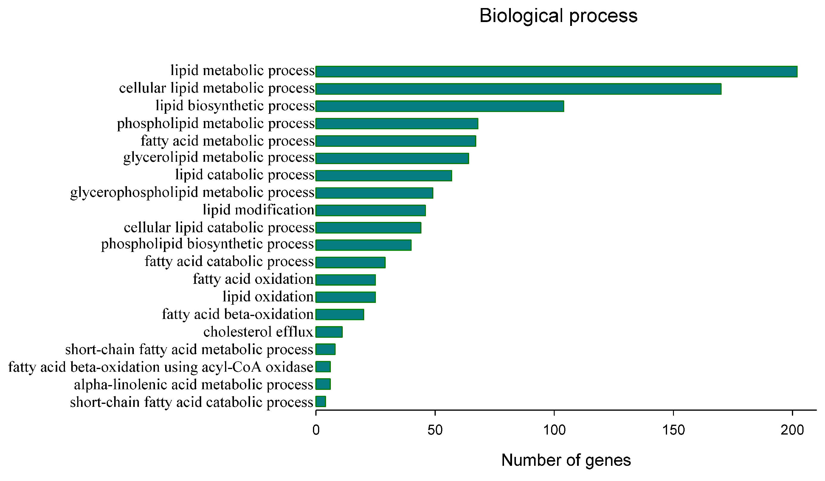 Animals 13 03256 g002