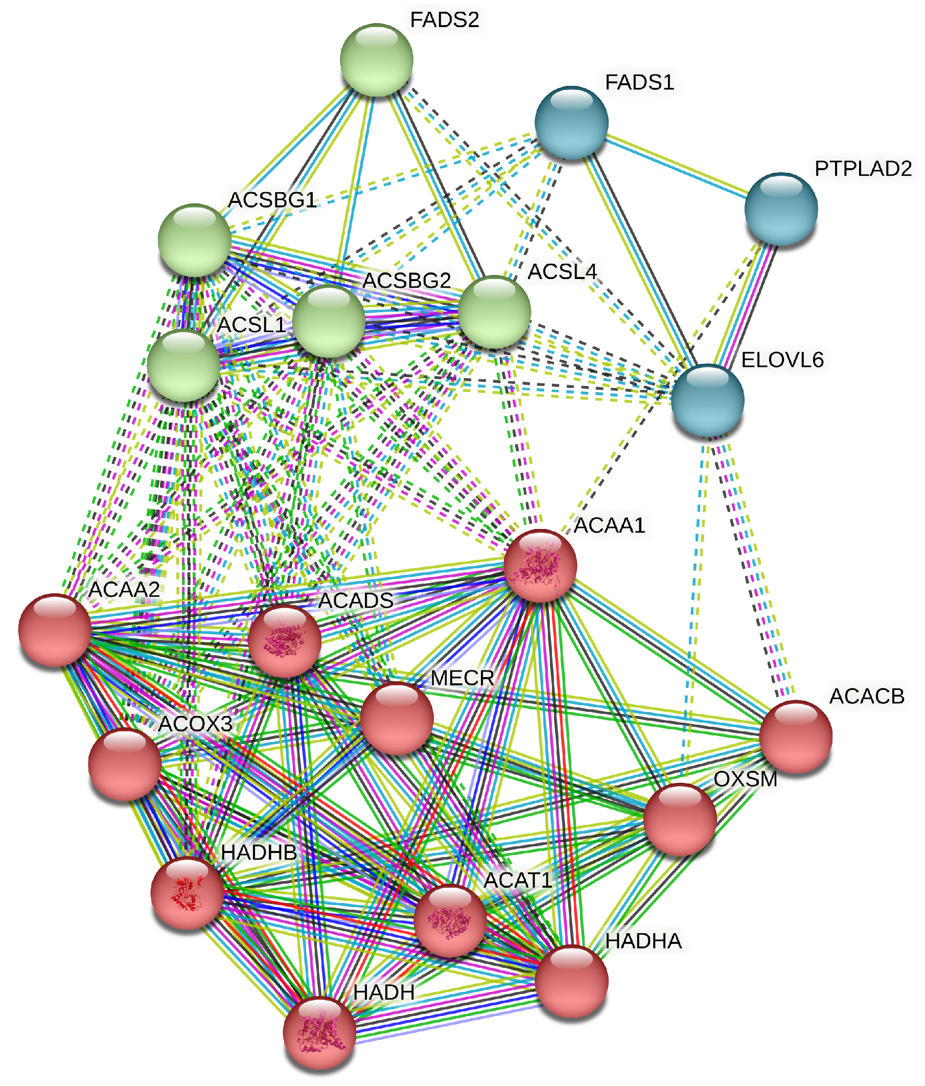 Animals 13 03256 g003