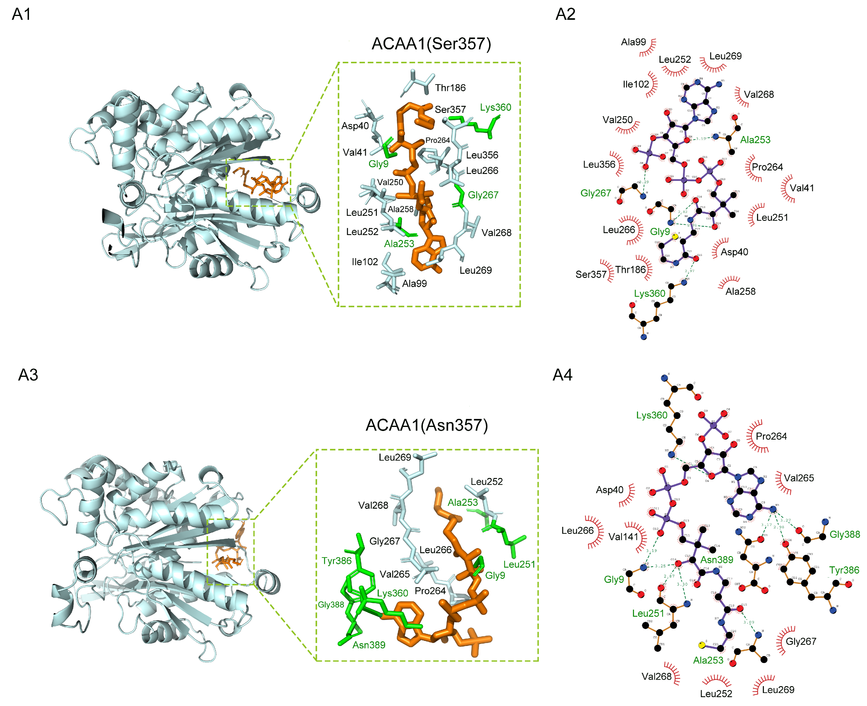 Animals 13 03256 g004a