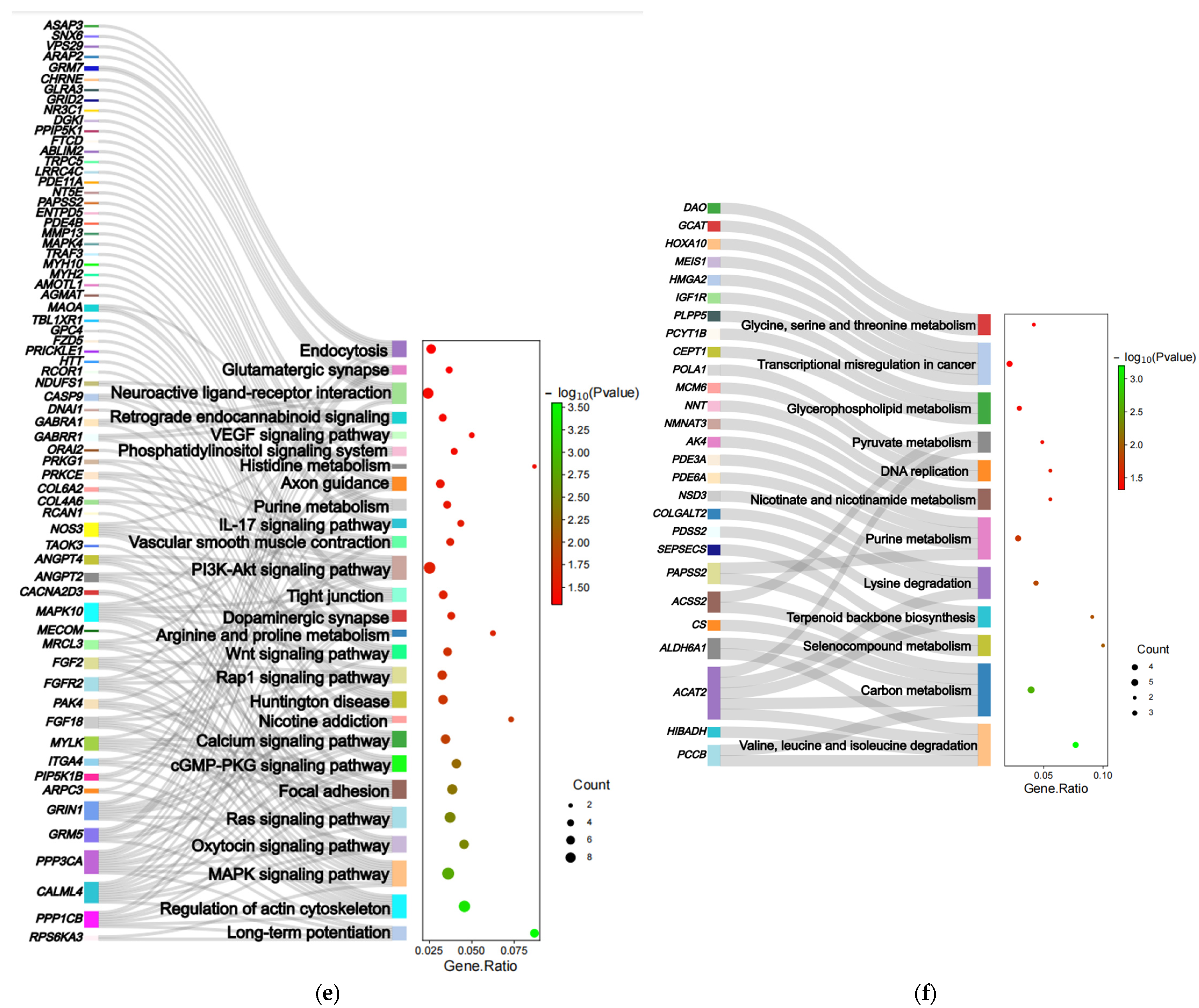 Animals 13 03265 g003c