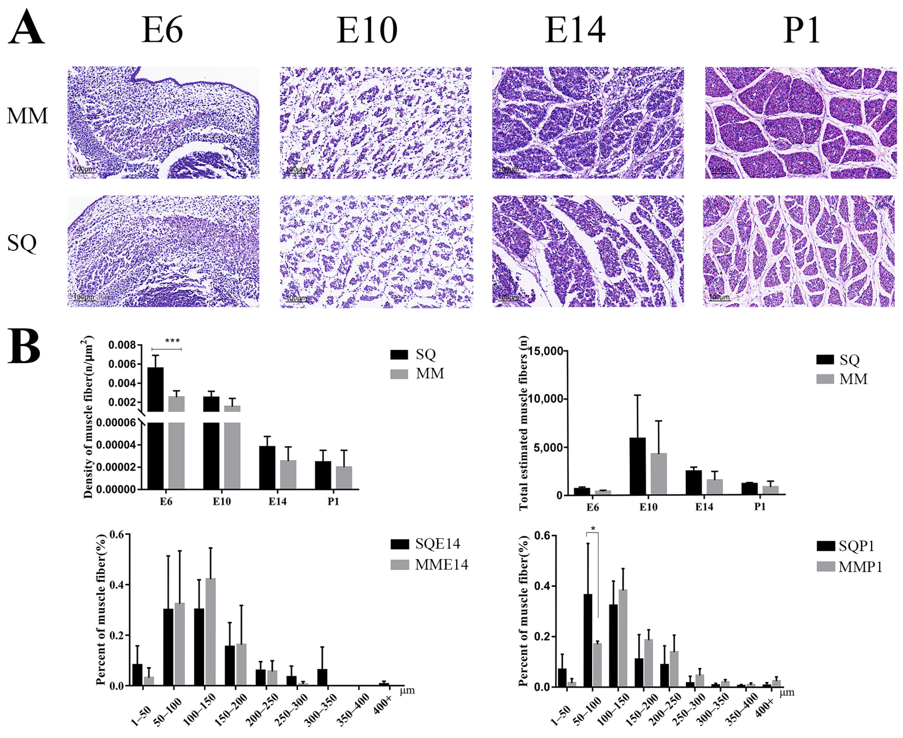 Animals 13 03267 g001