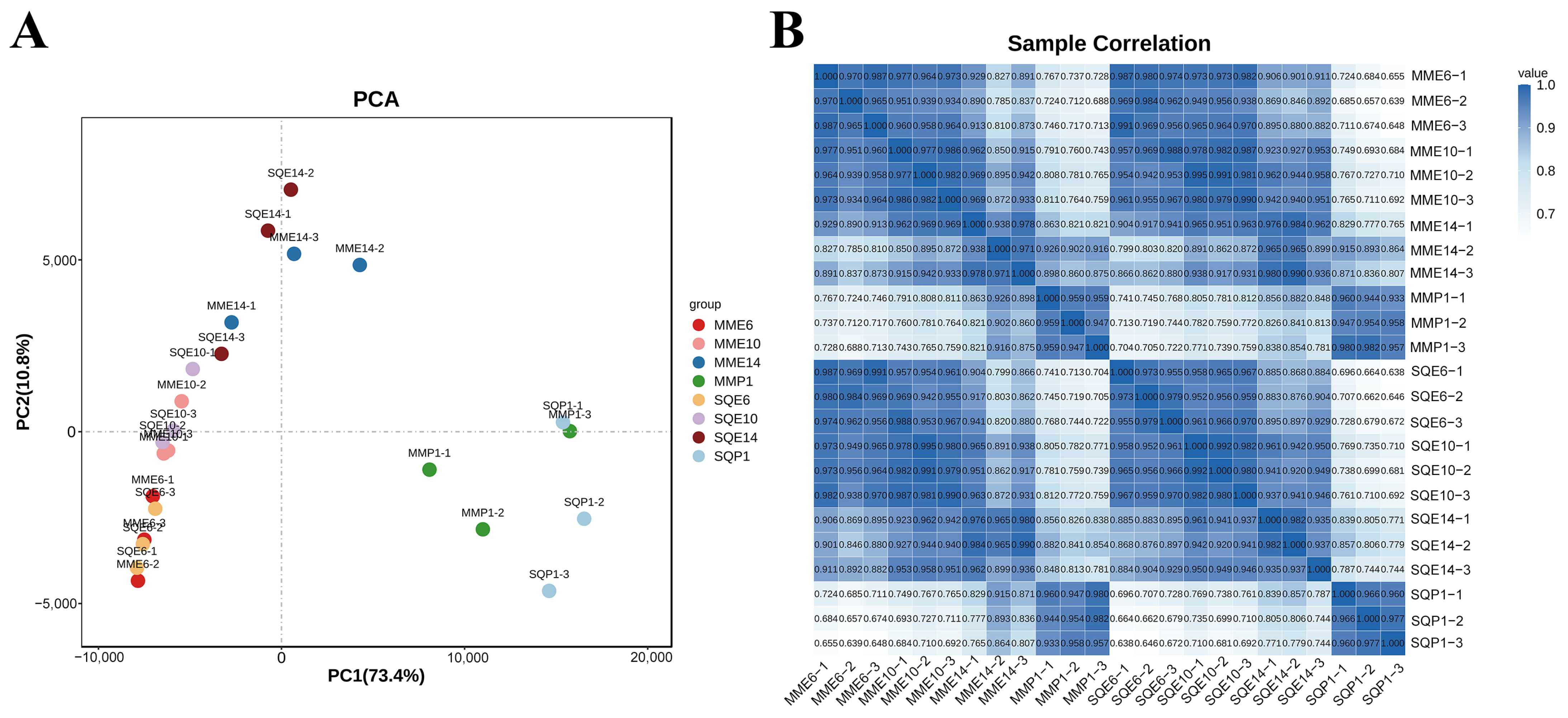 Animals 13 03267 g002