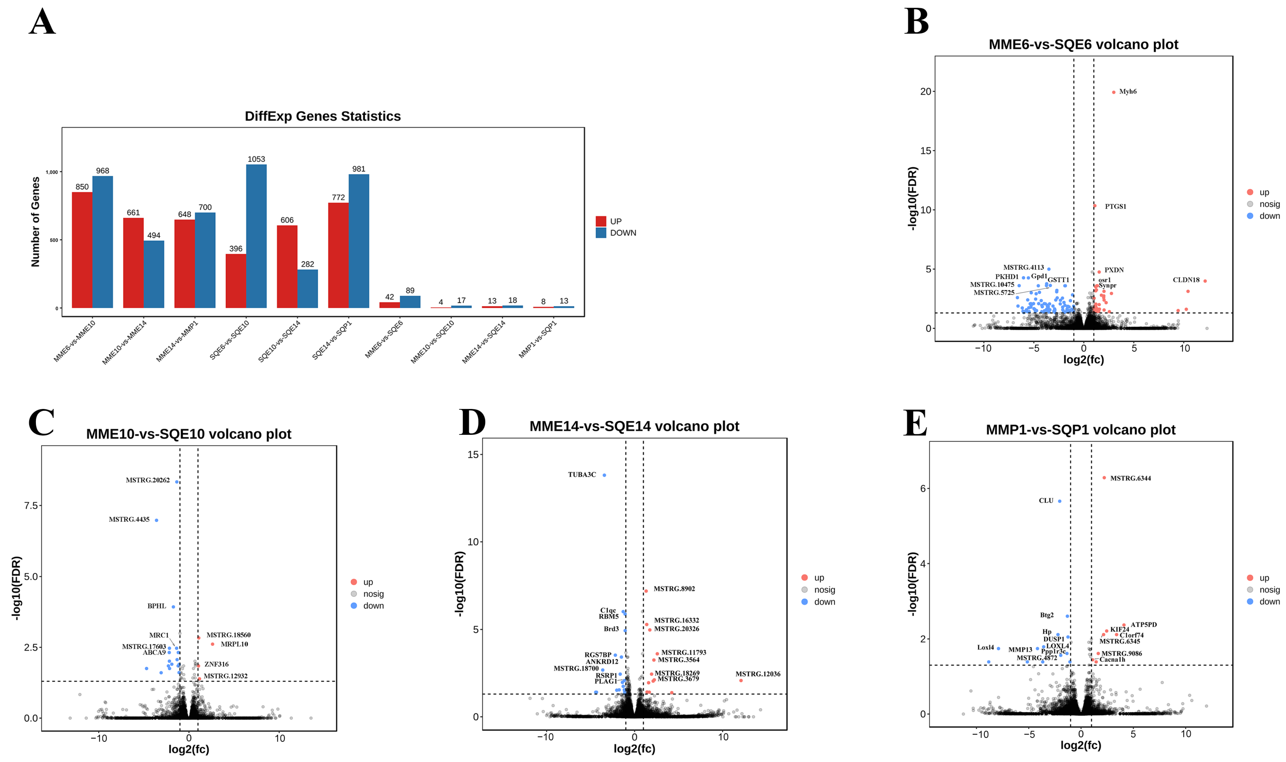 Animals 13 03267 g003