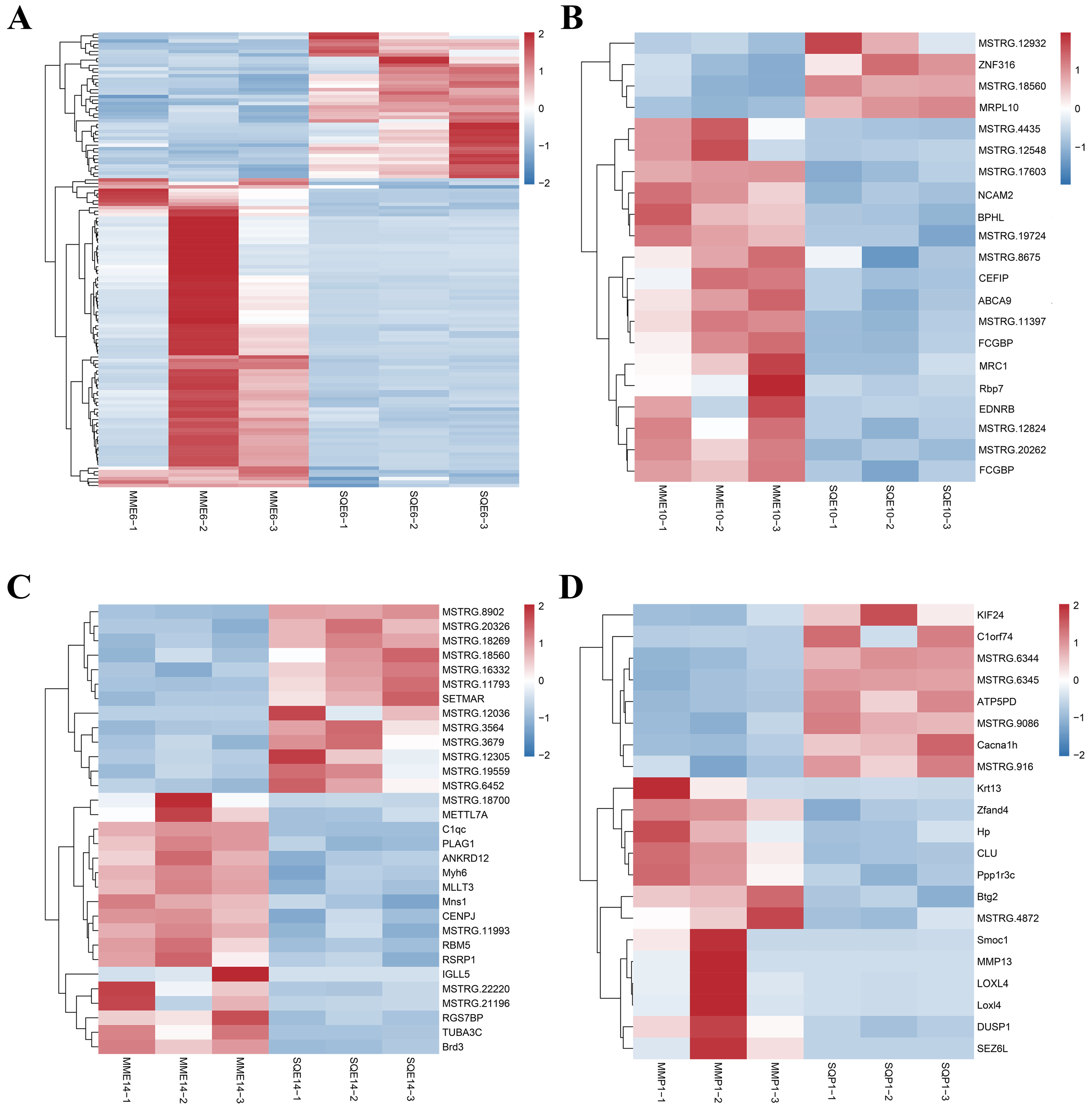 Animals 13 03267 g004