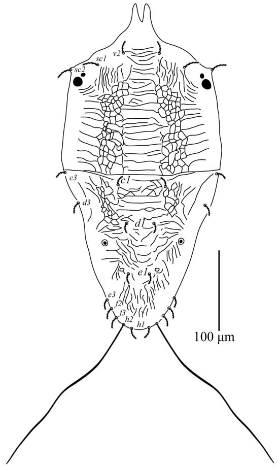 Animals 13 03278 g001