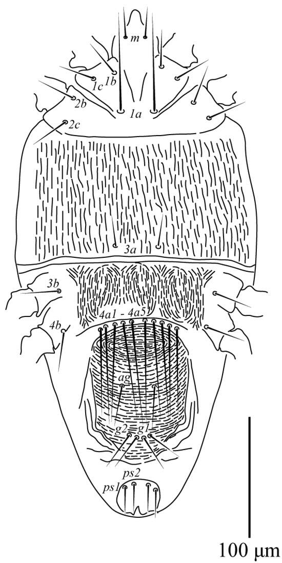 Animals 13 03278 g002