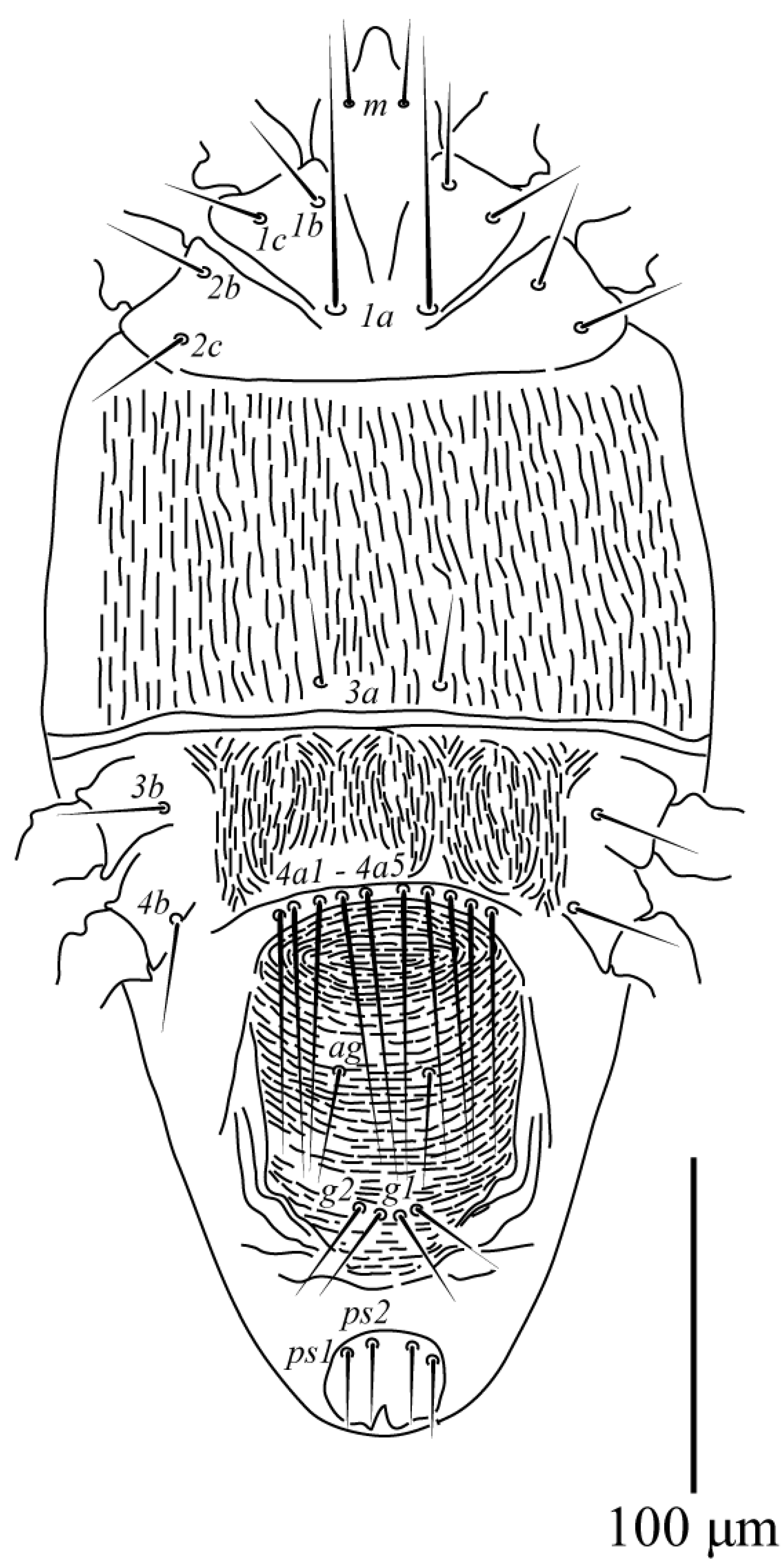 Animals 13 03278 g002