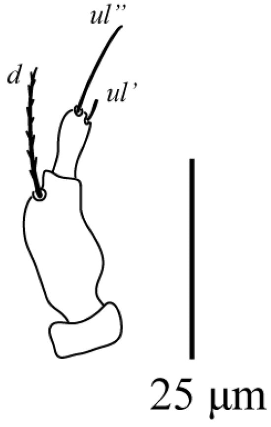 Animals 13 03278 g003