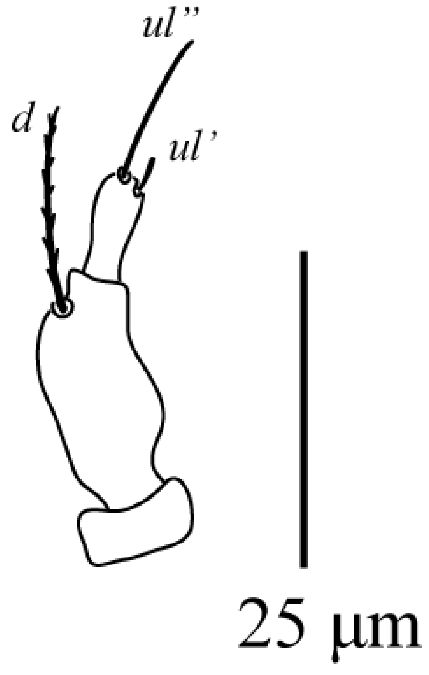 Animals 13 03278 g003