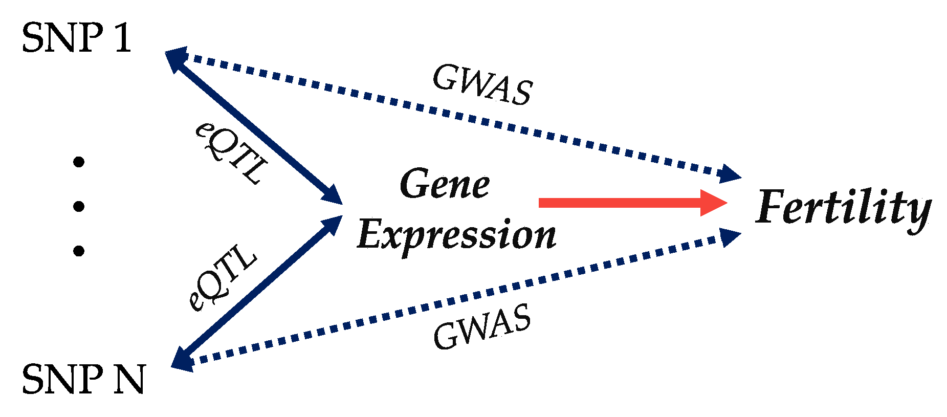 Animals 13 03284 g003