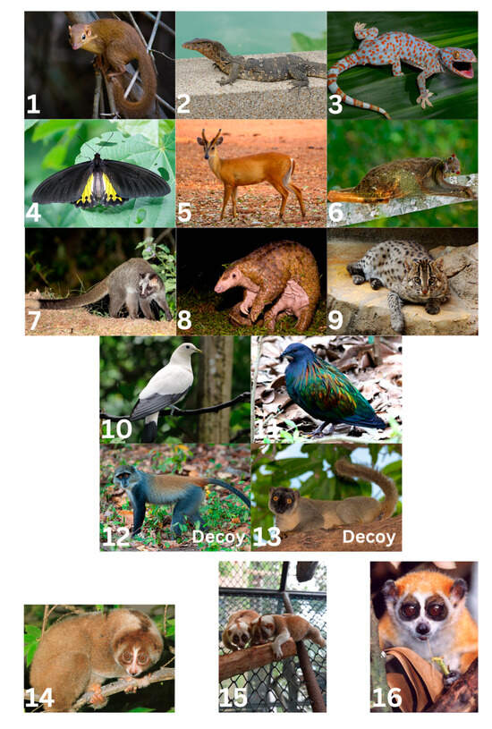 Animals 13 03285 g0a1