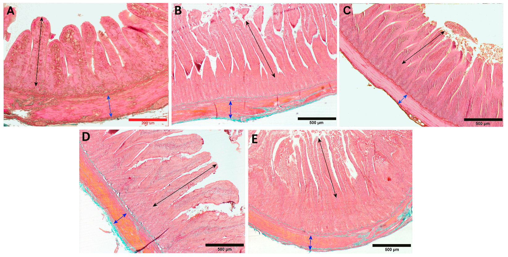 Animals 13 03292 g003