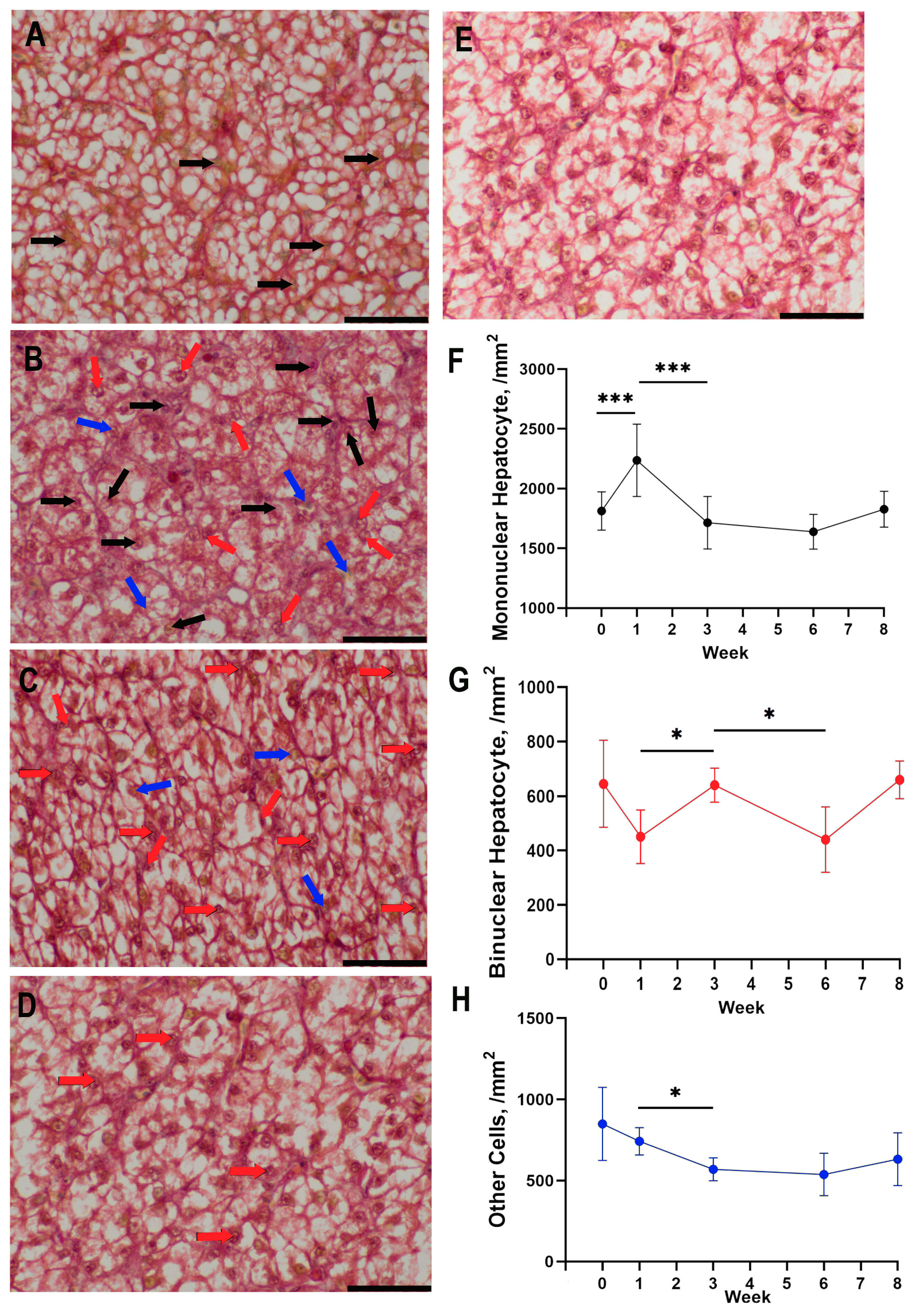 Animals 13 03292 g007