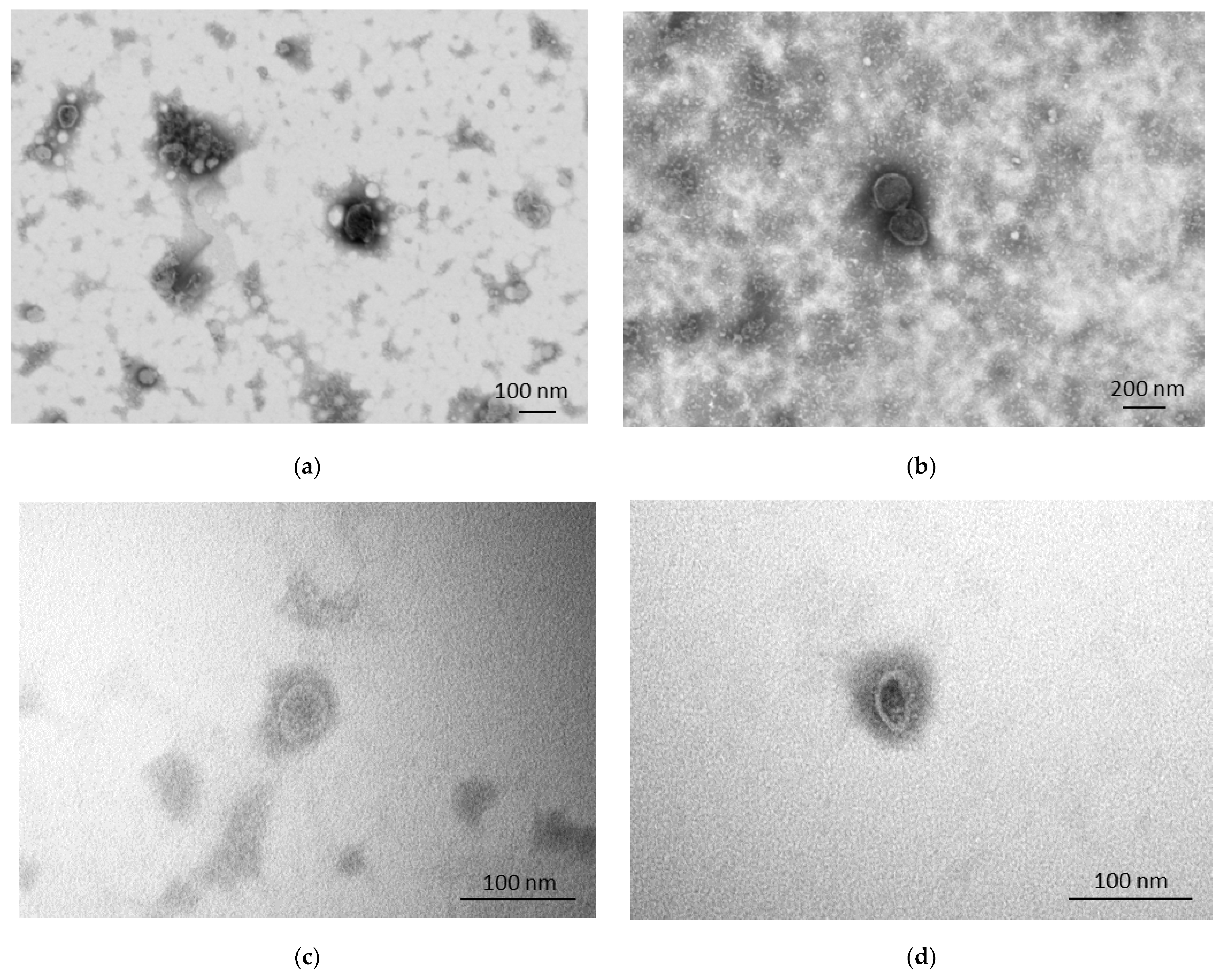 Animals 13 03304 g003