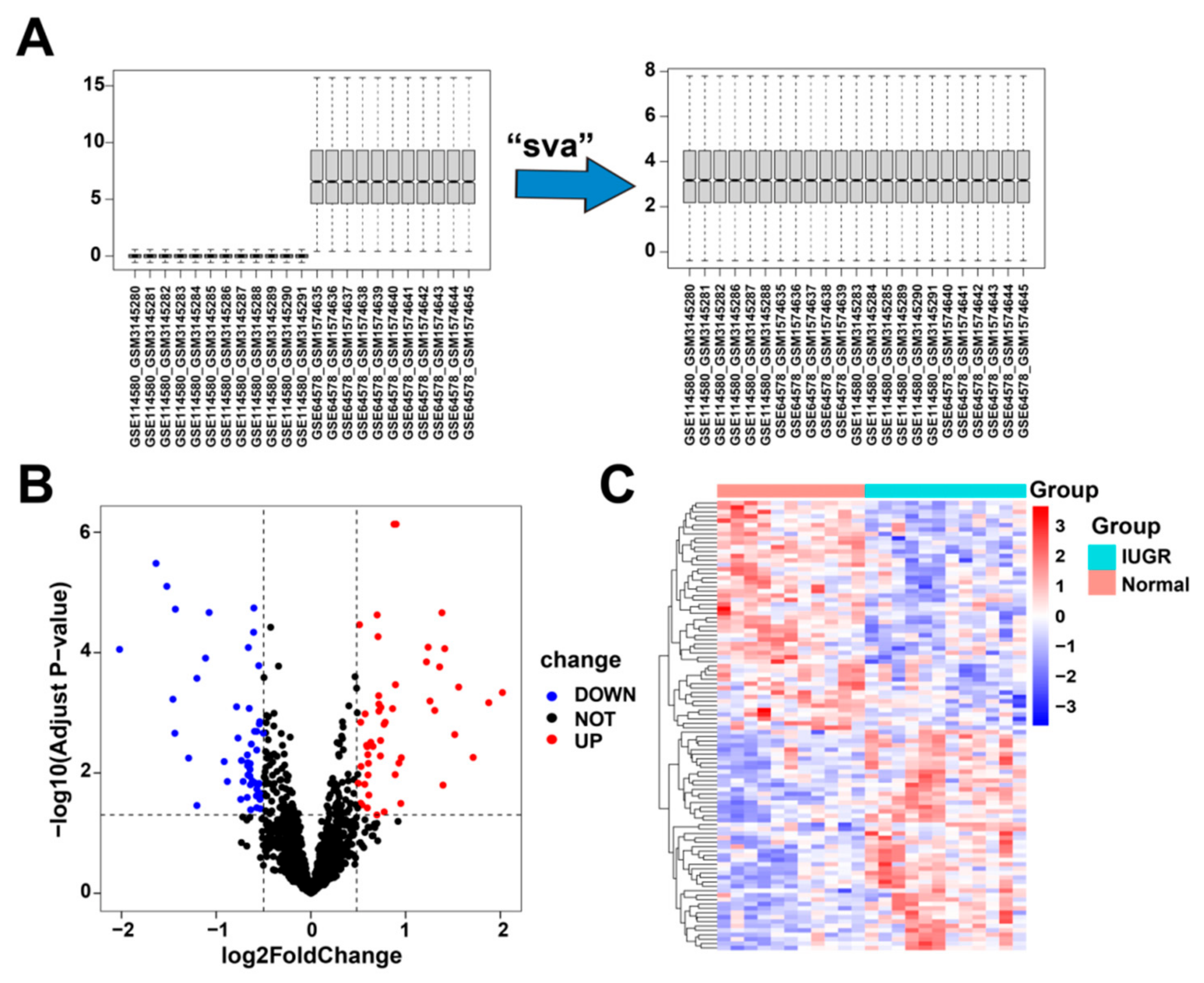 Animals 13 03305 g002