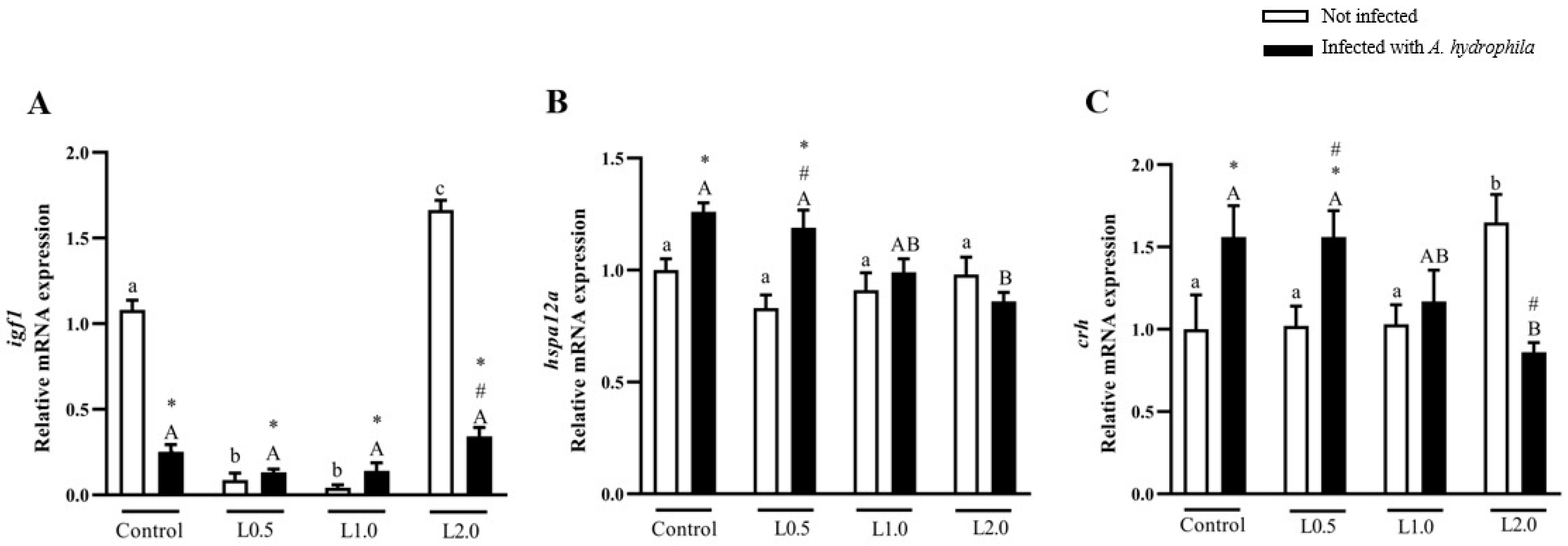 Animals 13 03307 g008