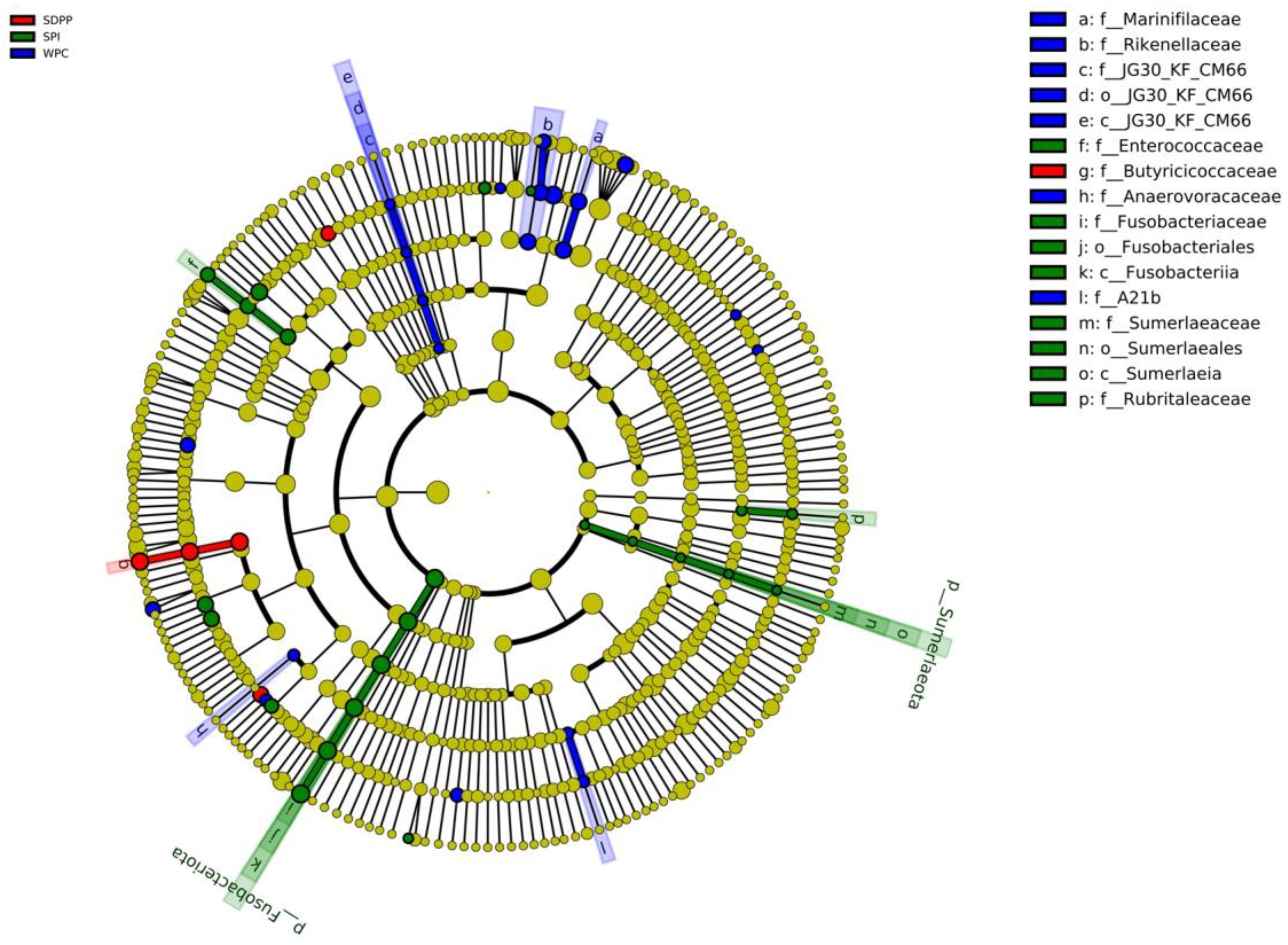 Animals 13 03308 g007