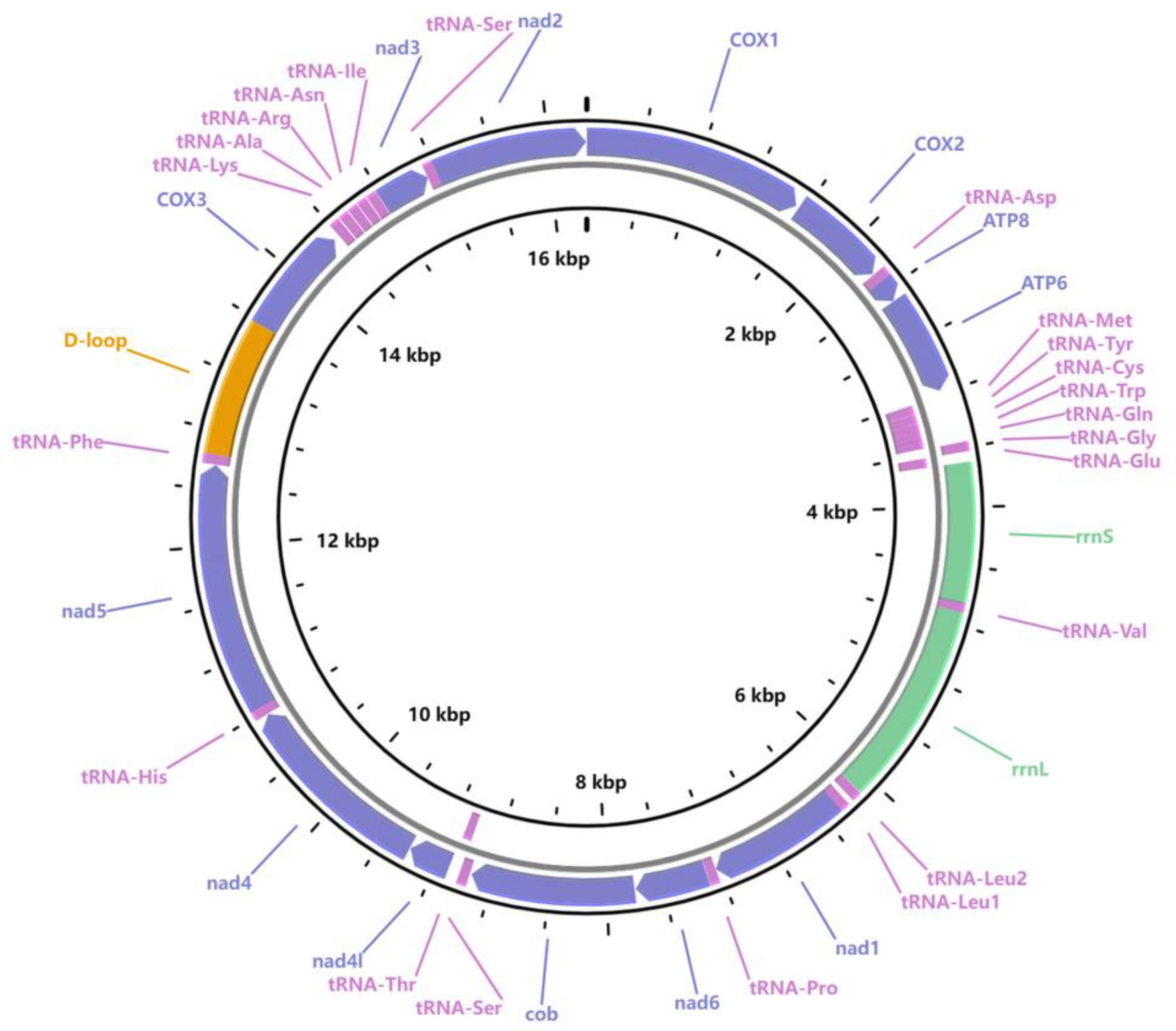 Animals 13 03313 g003