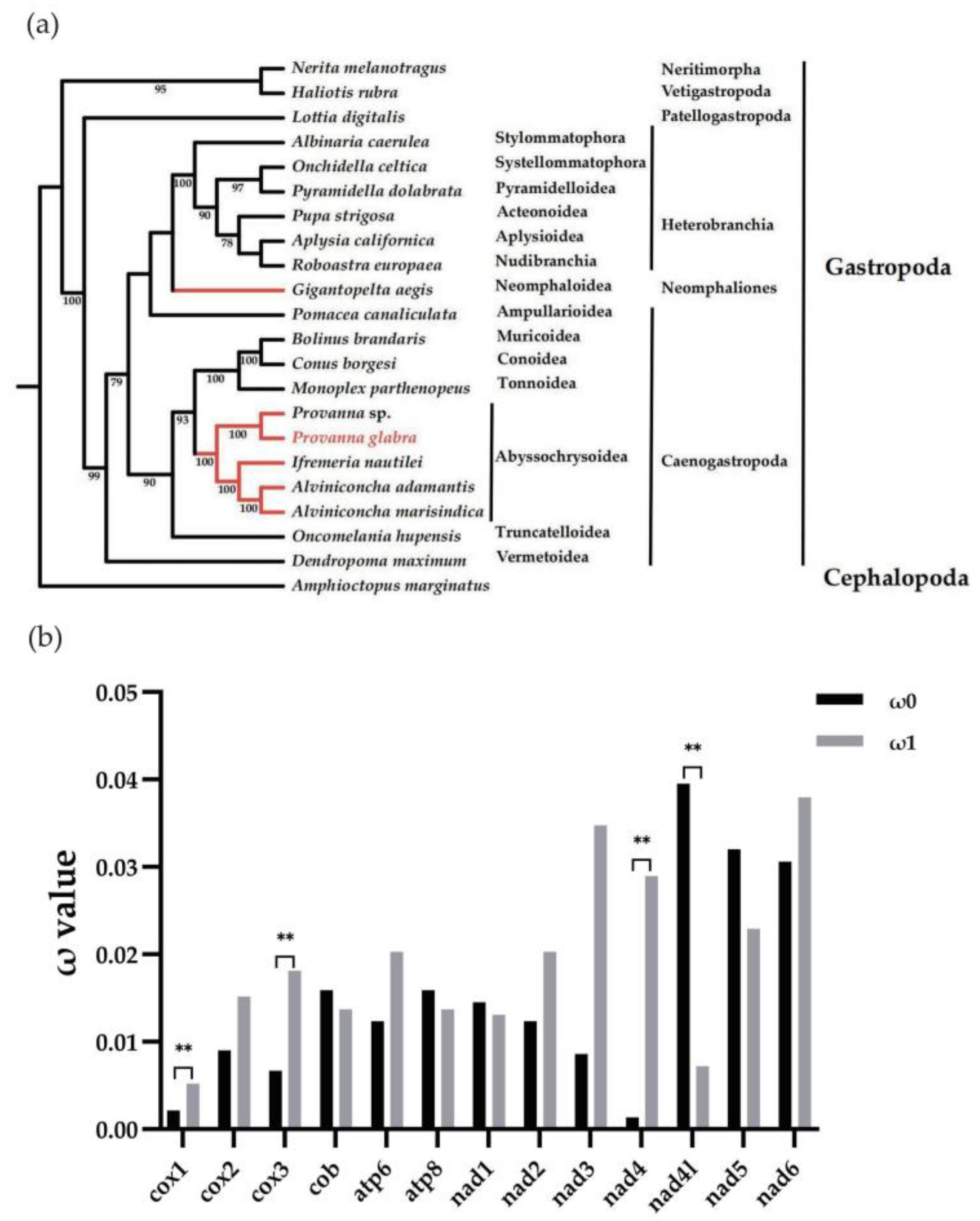 Animals 13 03313 g004