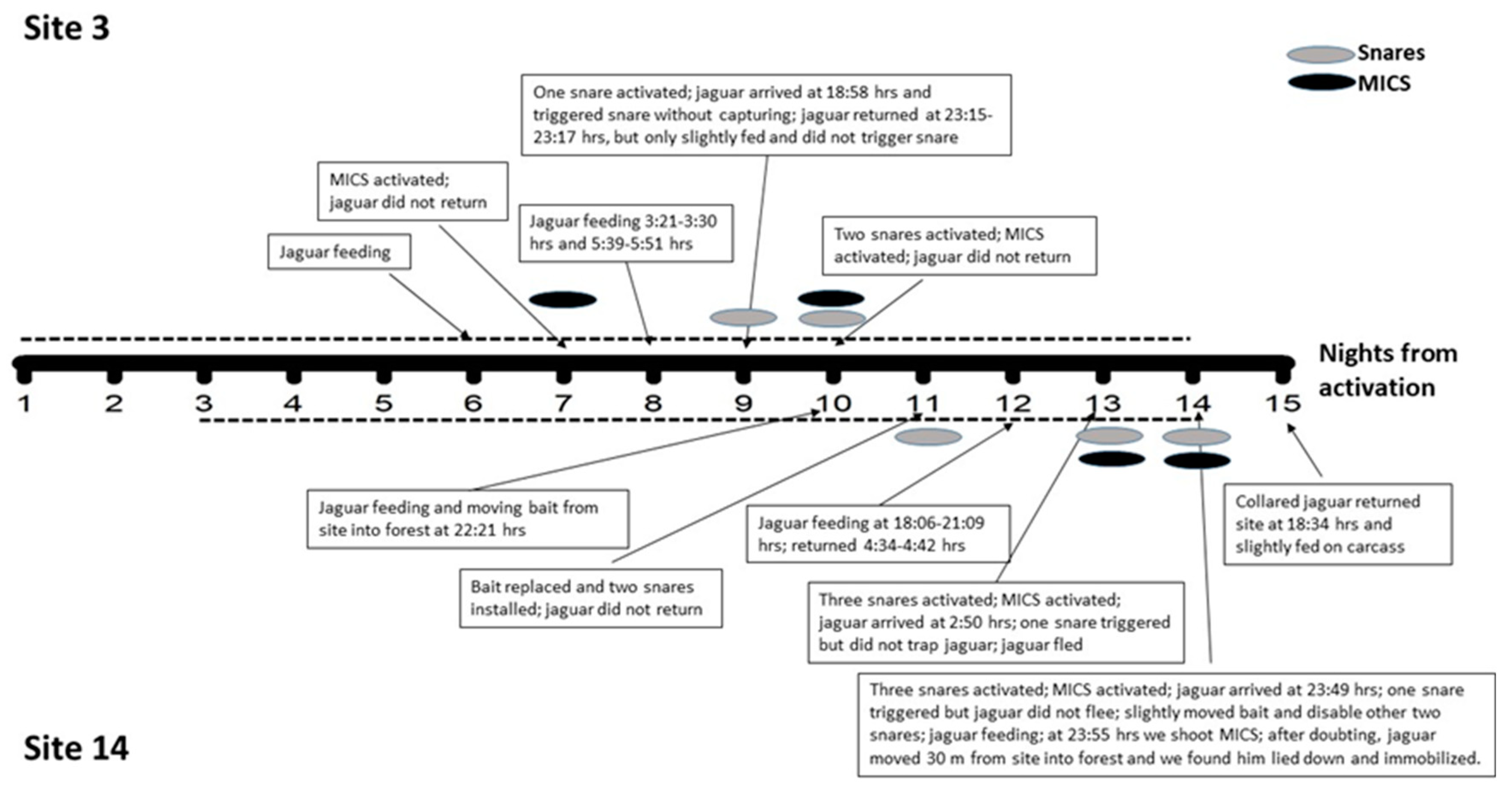 Animals 13 03314 g002