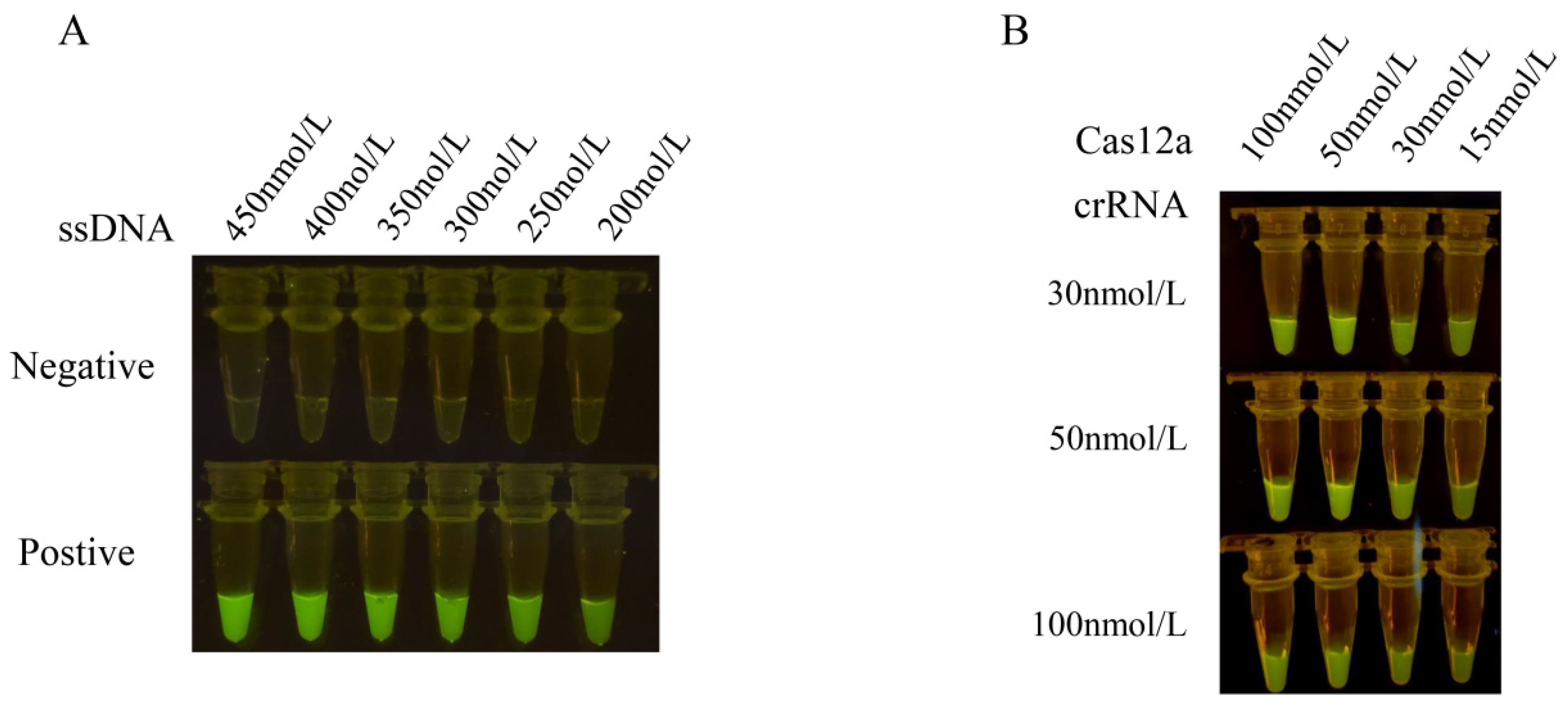 Animals 13 03317 g003