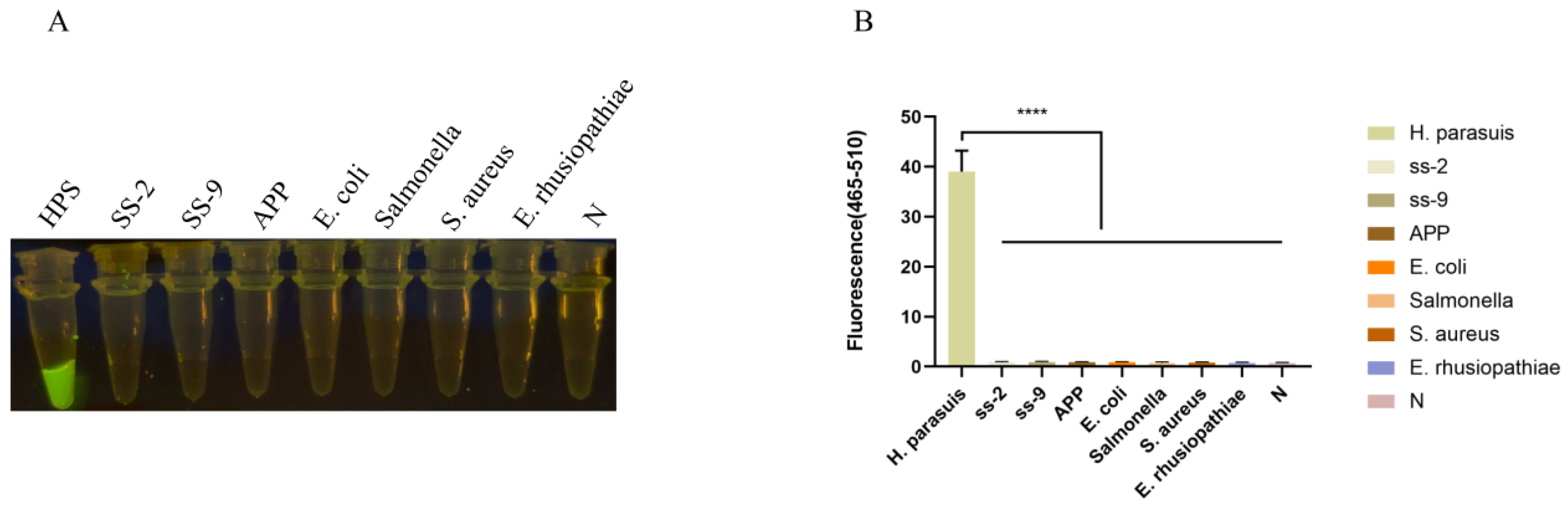 Animals 13 03317 g004