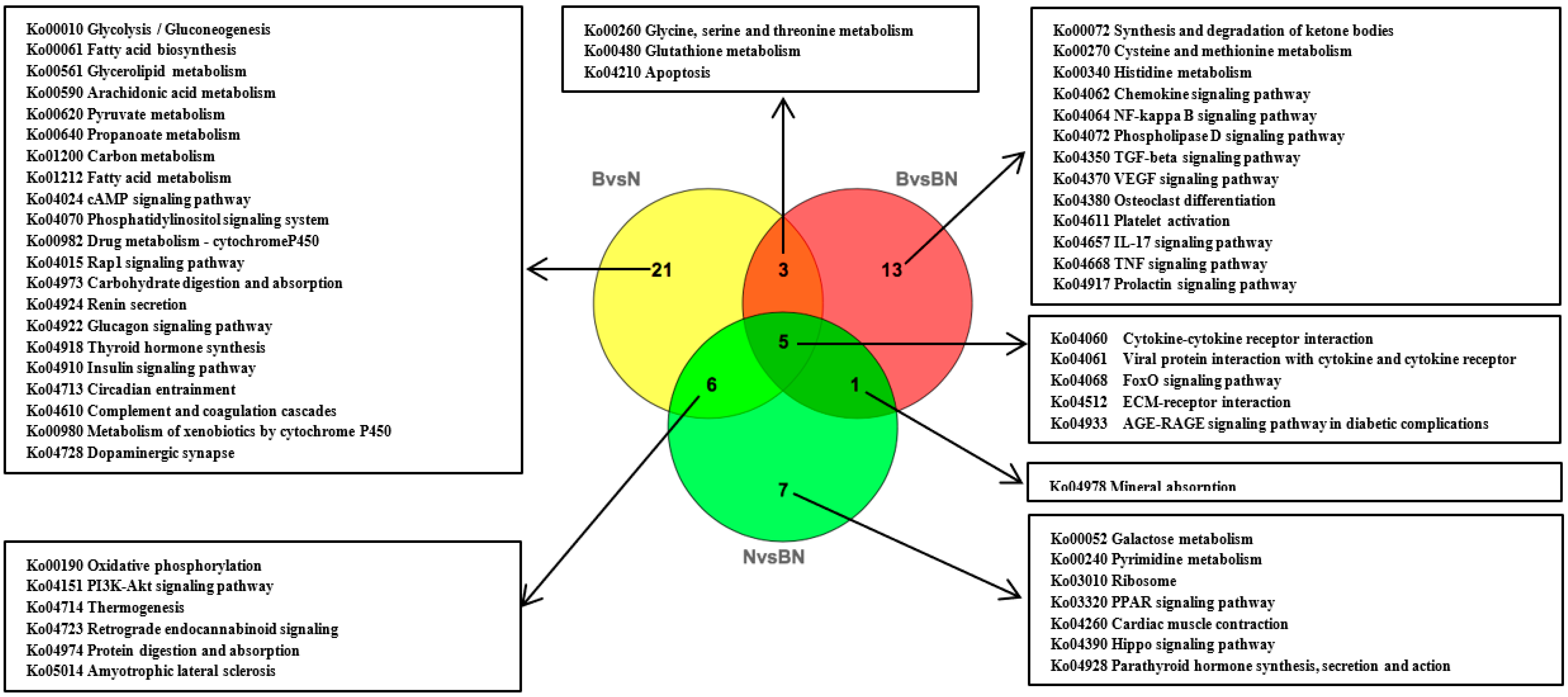 Animals 13 03321 g005