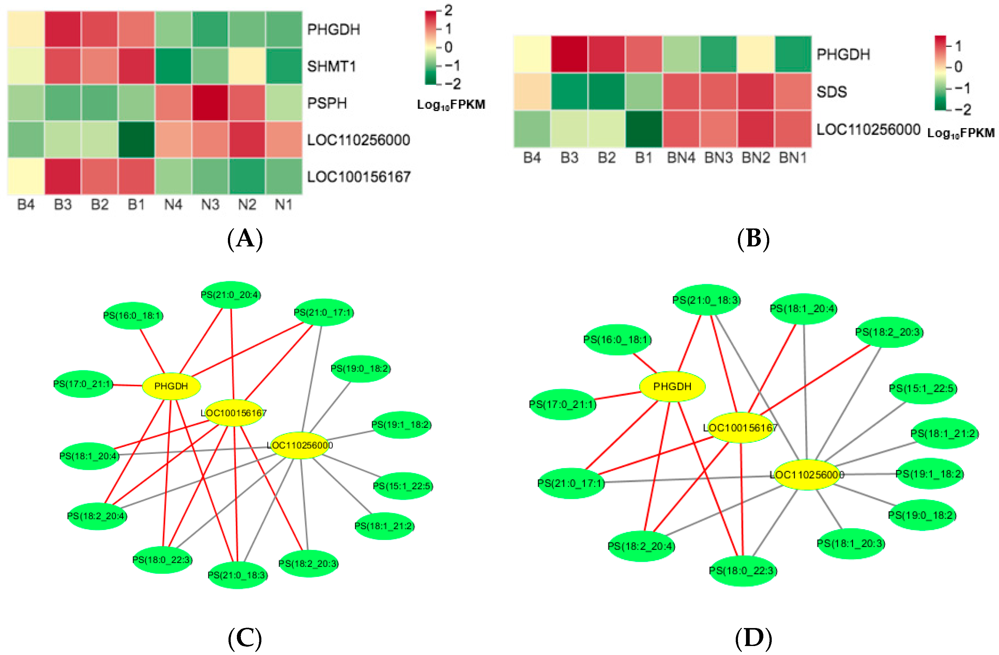 Animals 13 03321 g008