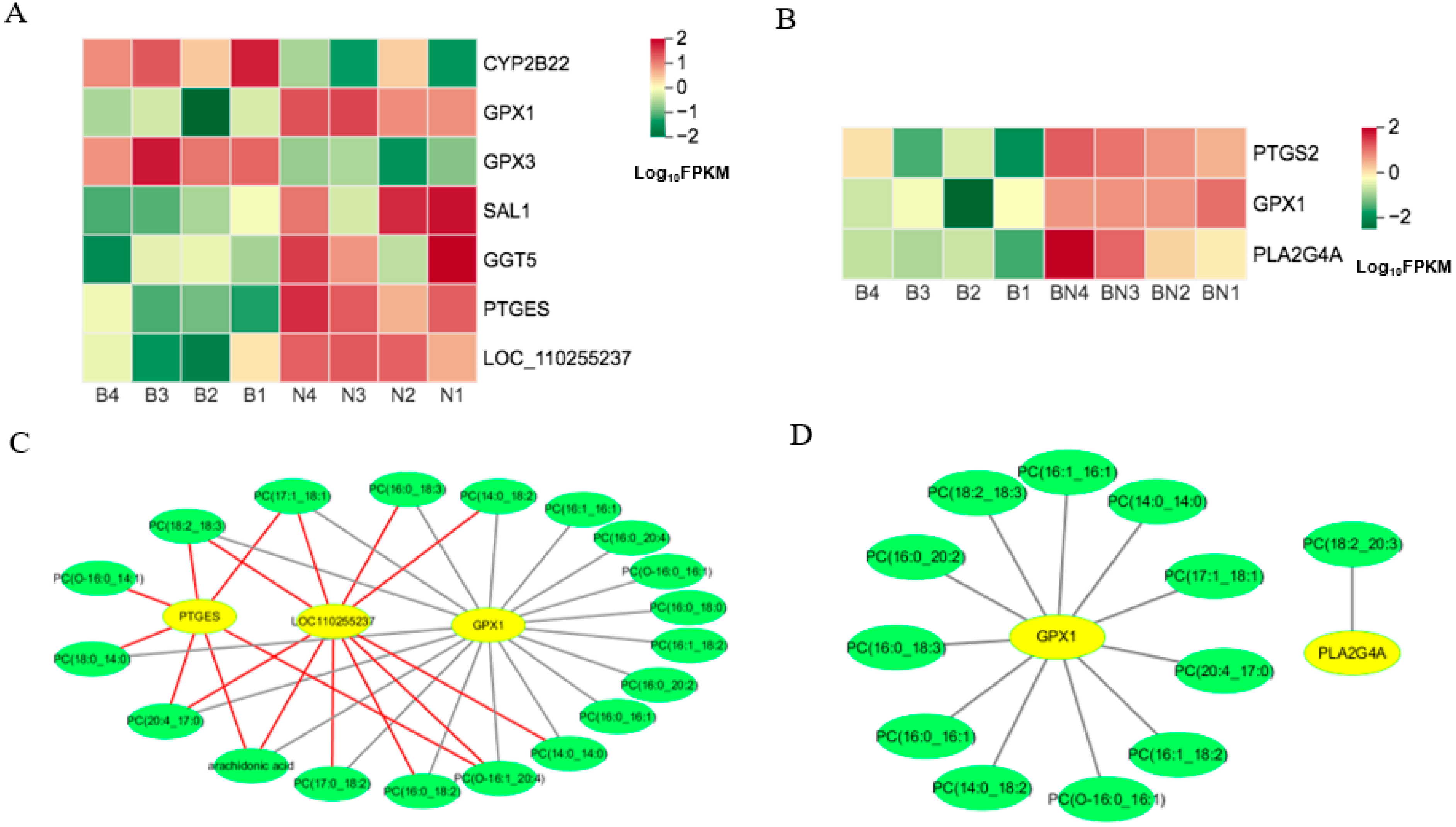 Animals 13 03321 g011