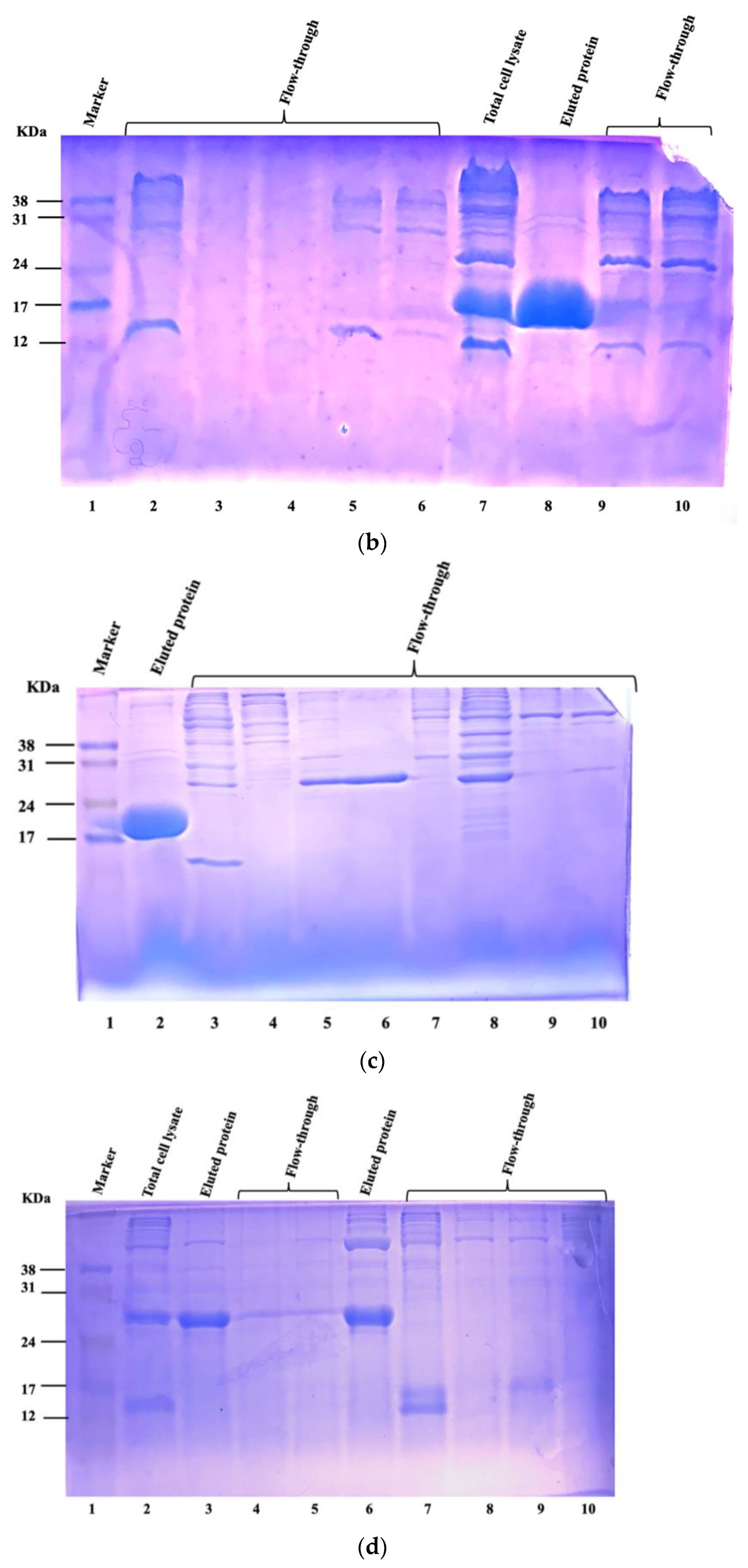 Animals 13 03323 g001b