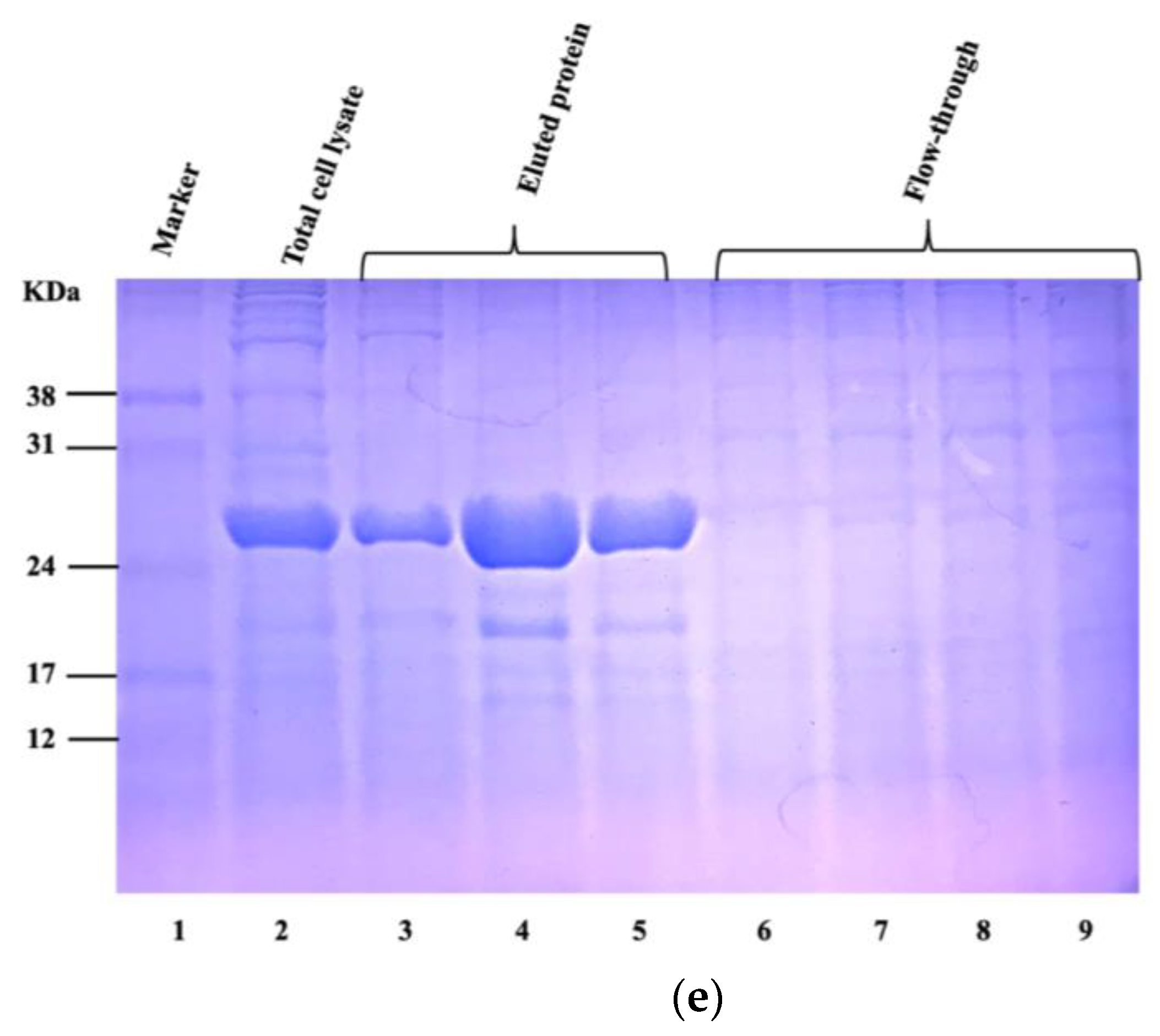 Animals 13 03323 g001c