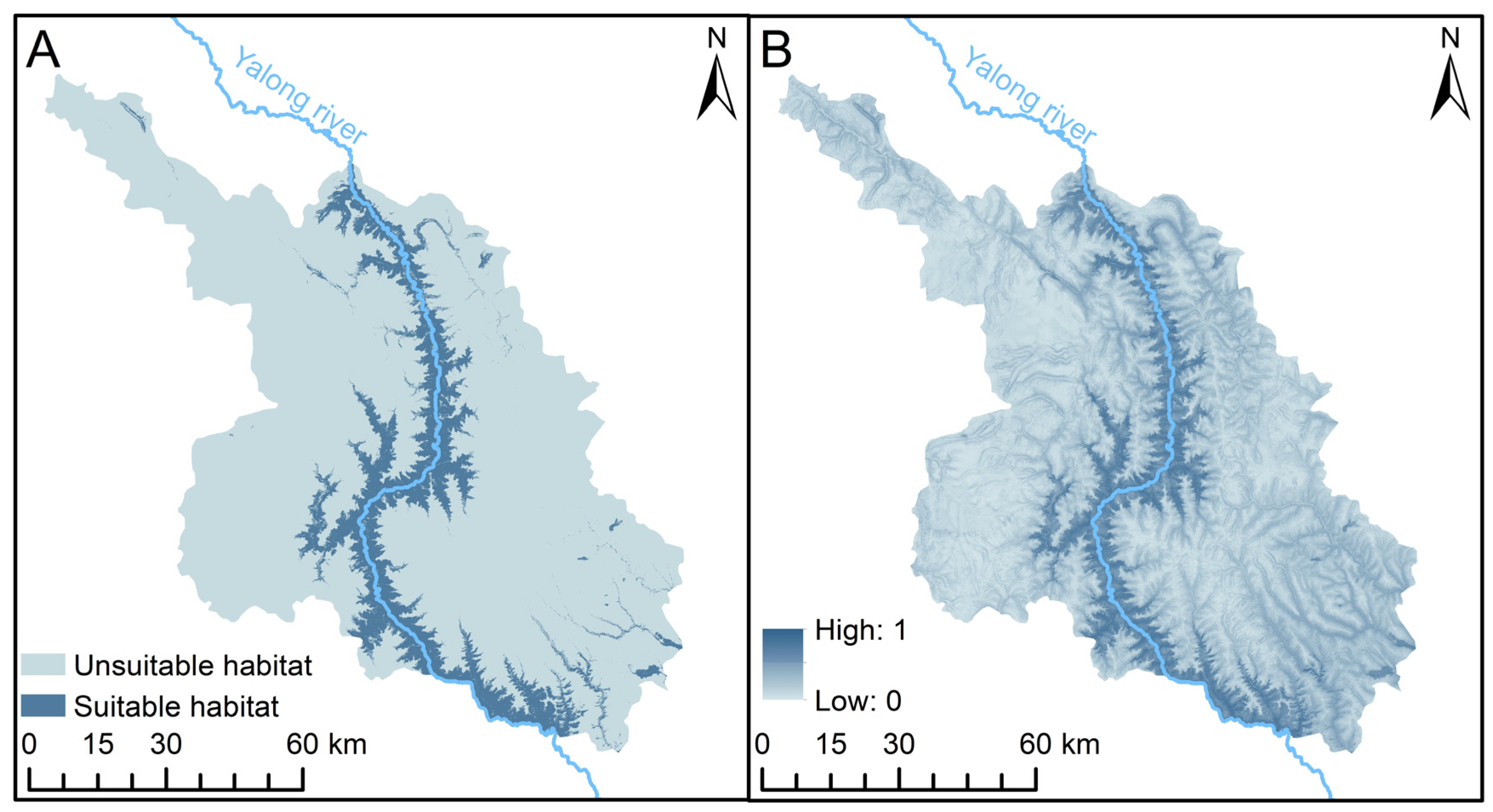 Animals 13 03328 g002