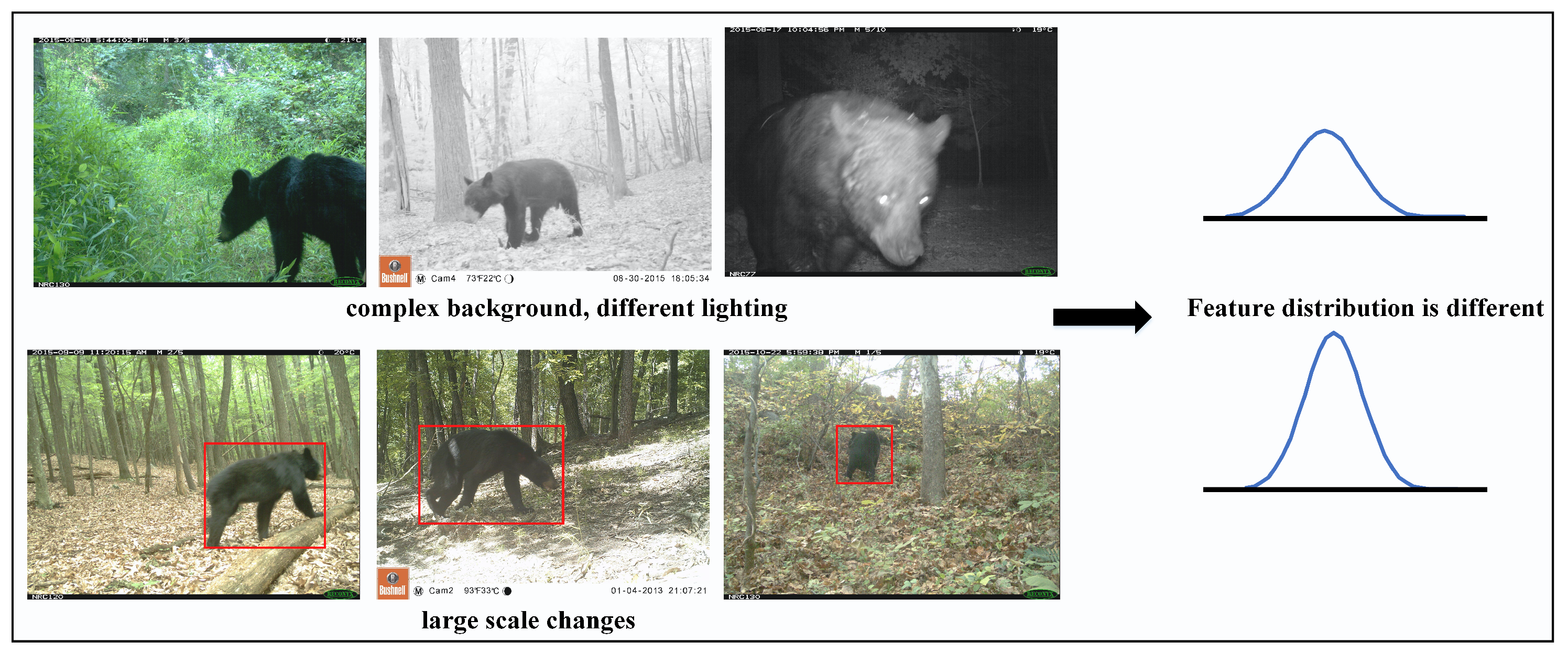 Animals 13 03333 g001