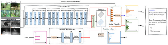 Animals 13 03333 g002