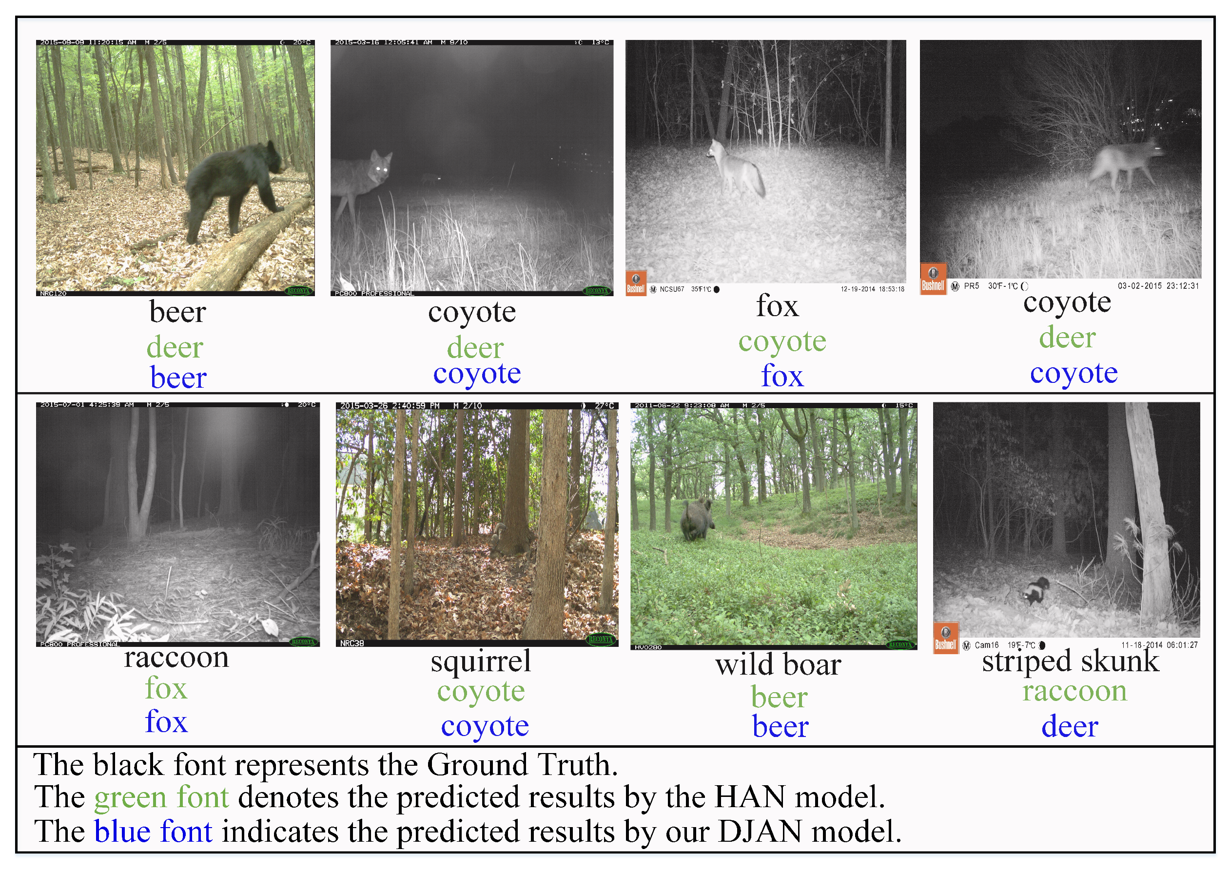 Animals 13 03333 g005