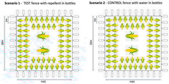 Animals 13 03334 g001a