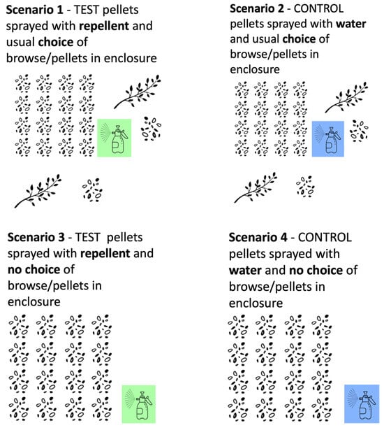 Animals 13 03334 g002