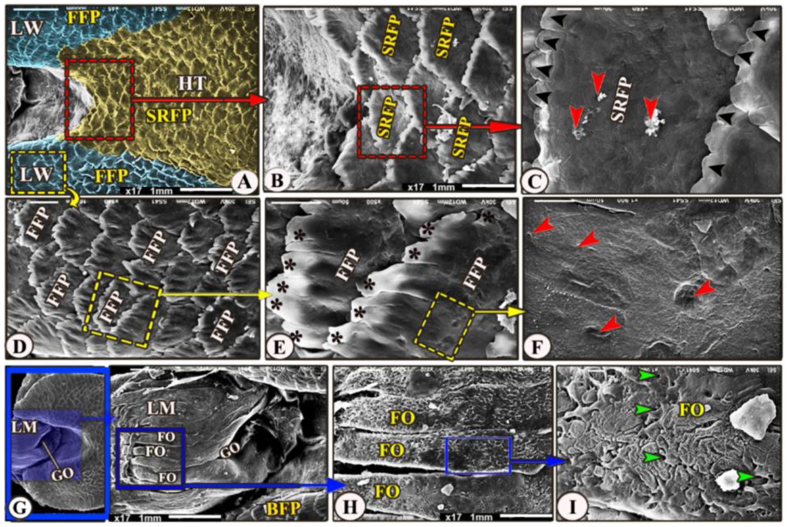 Animals 13 03336 g005