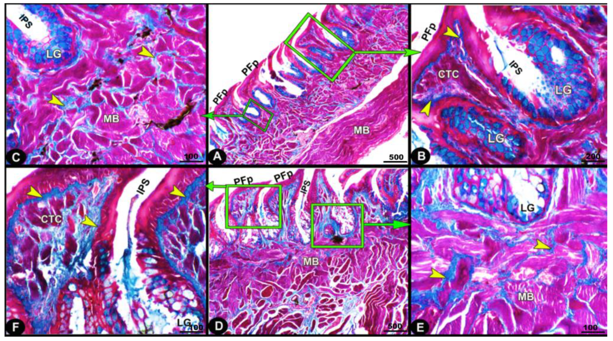 Animals 13 03336 g007