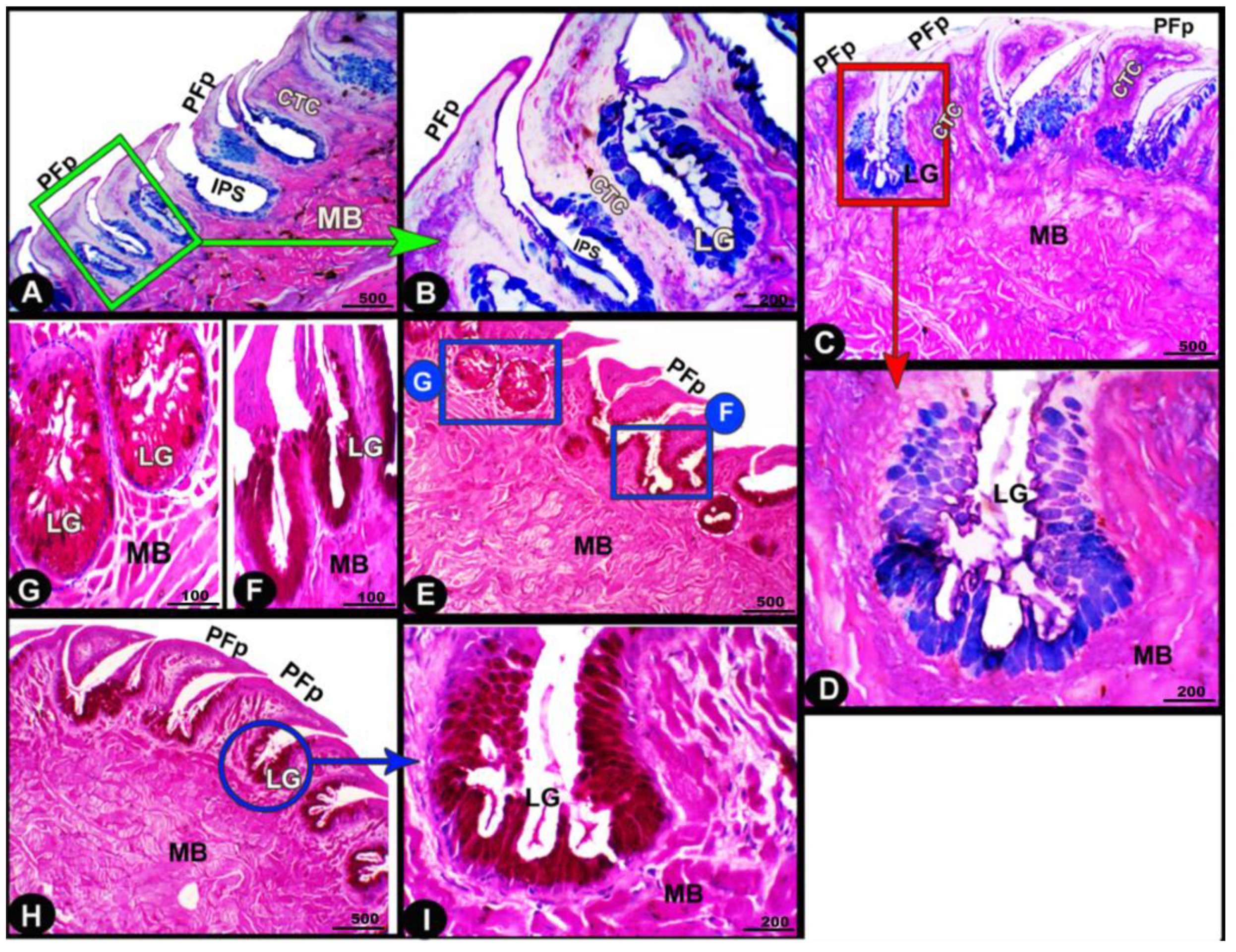 Animals 13 03336 g008