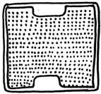 Animals 13 03340 i004