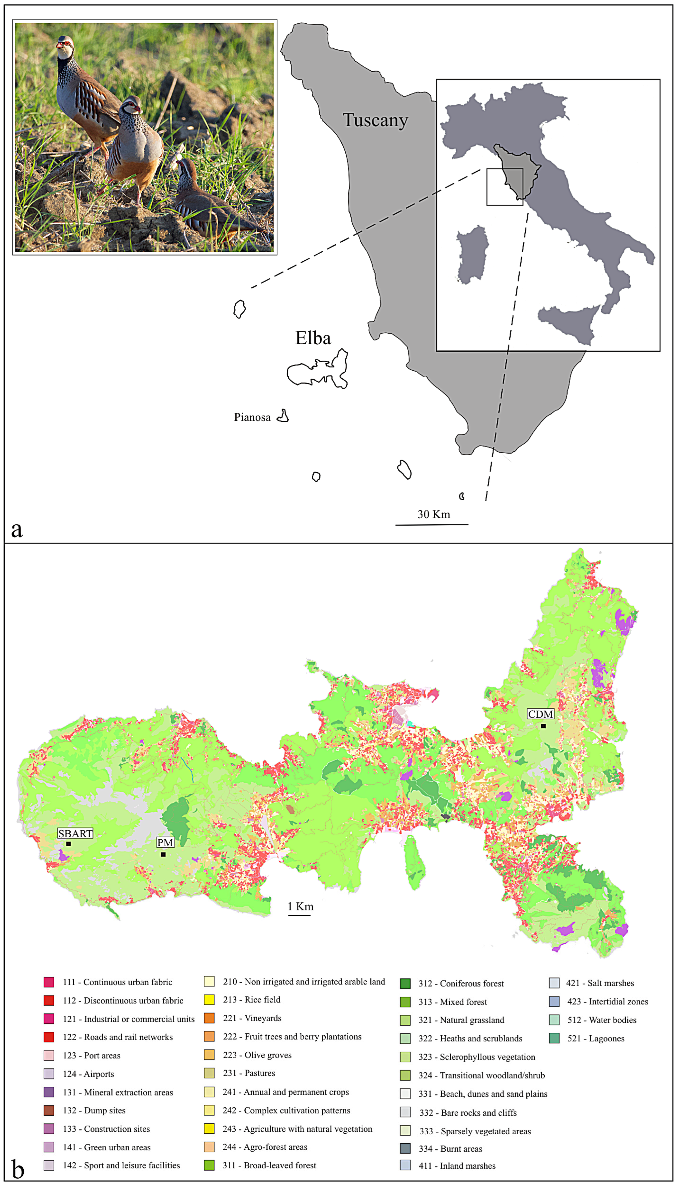 Animals 13 03341 g001