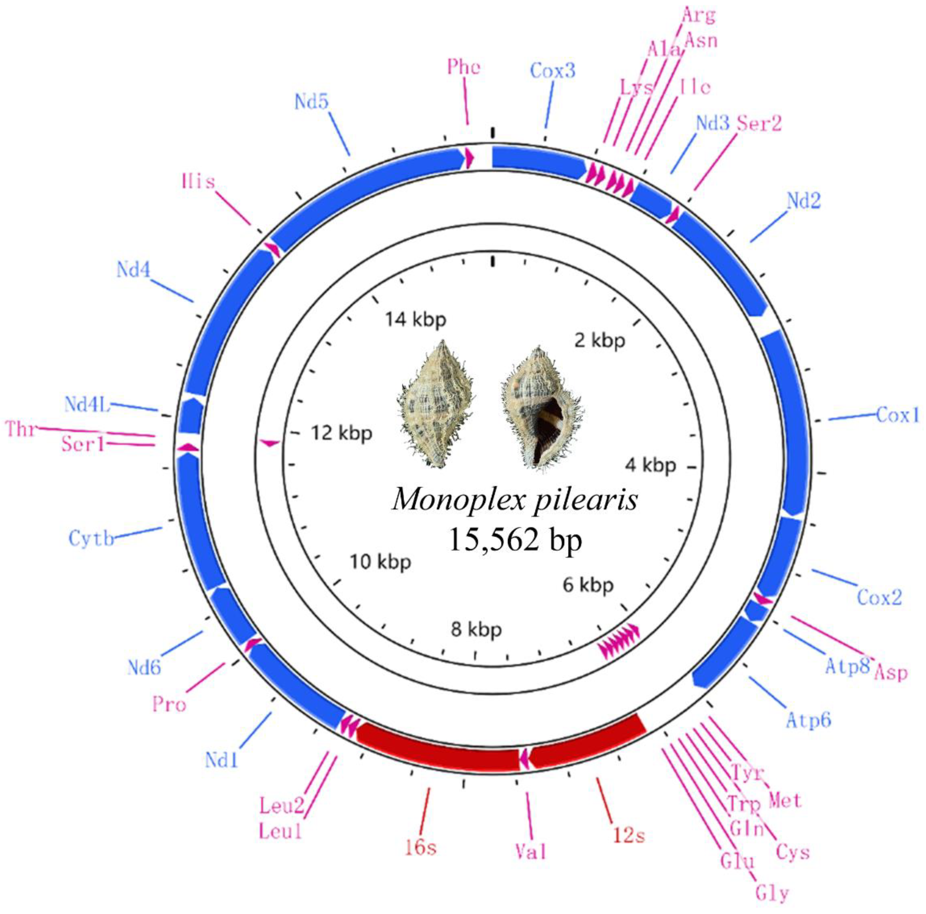 Animals 13 03342 g001