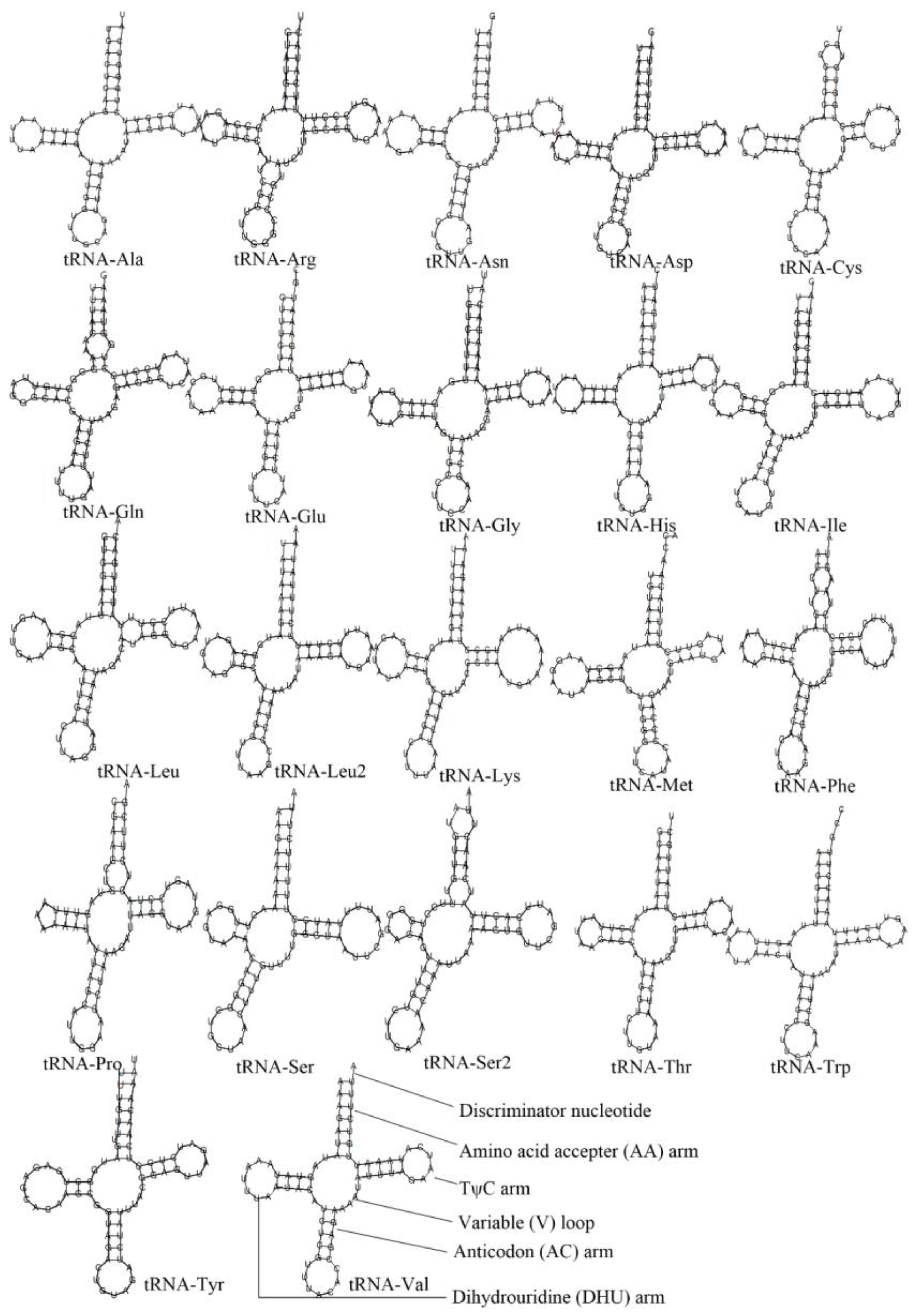 Animals 13 03342 g003