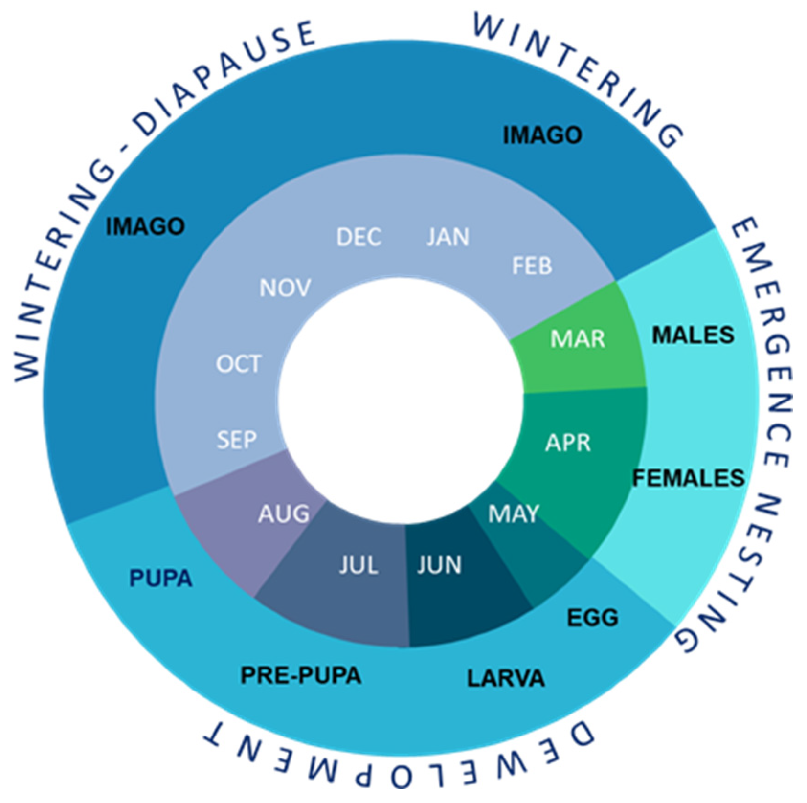 Animals 13 03344 g001